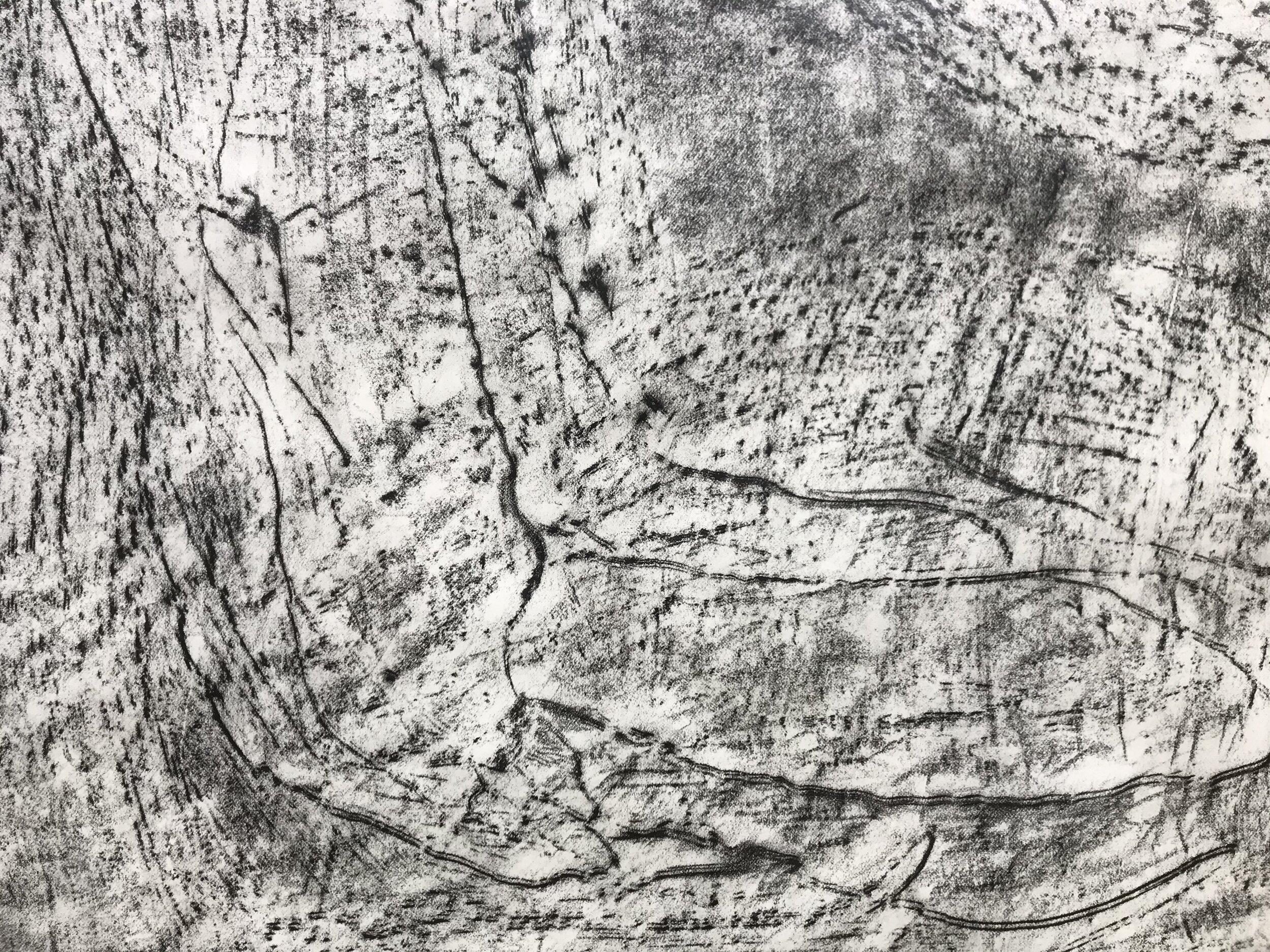 Detail, Rubbed Drawing No. 4