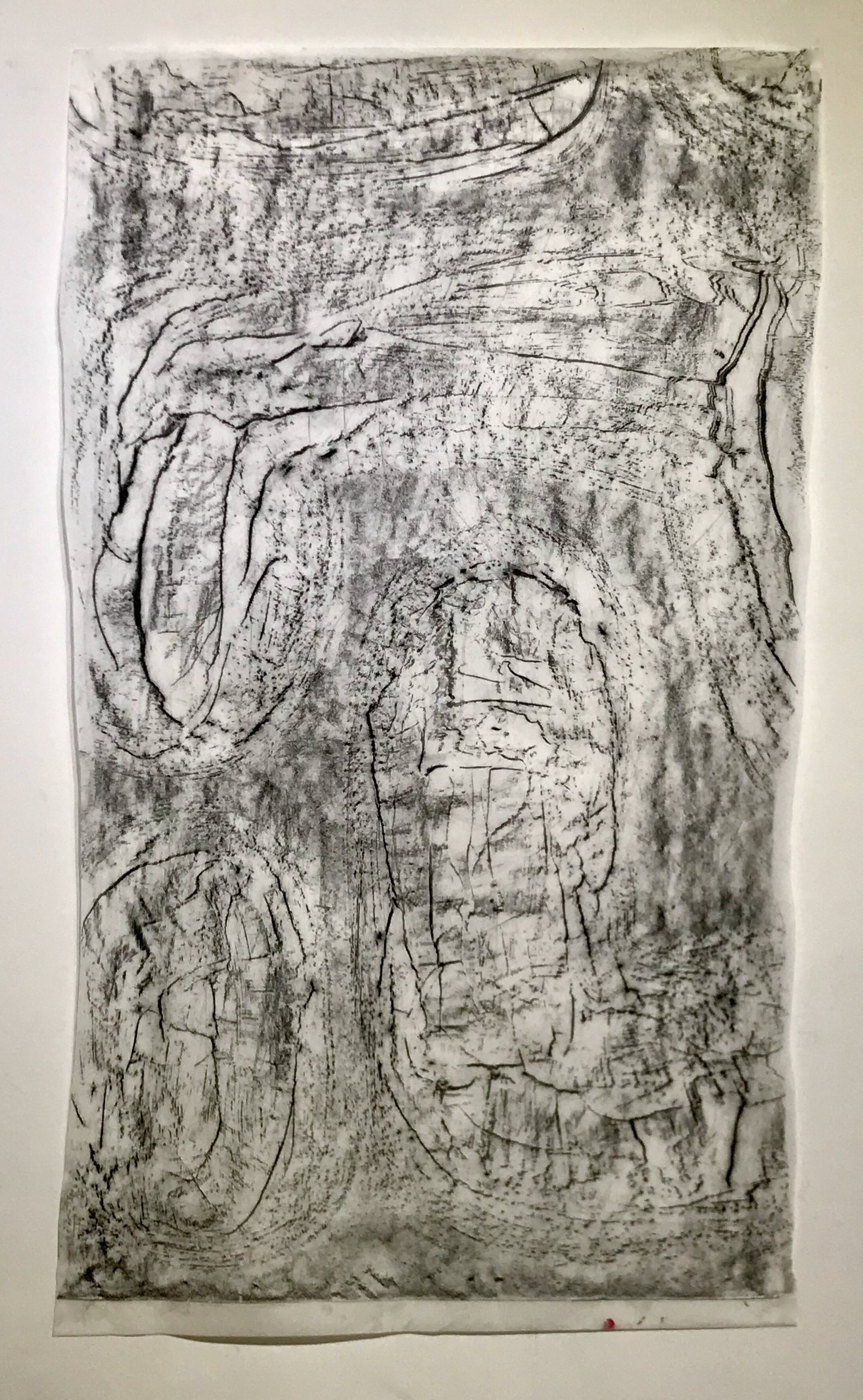 Rubbed Drawing No. 6 charcoal on vellum 43”H X 25”W (2019)