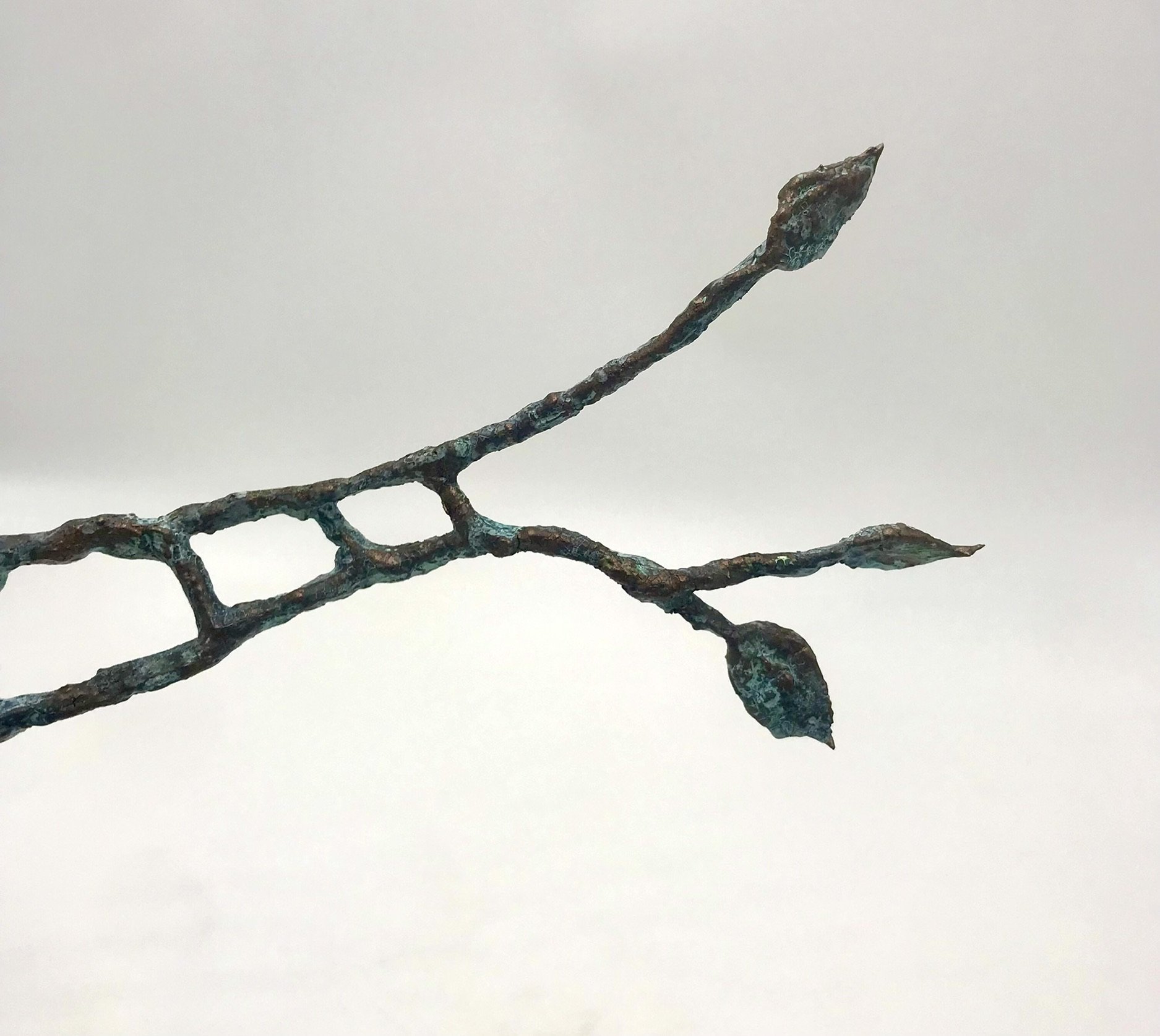 Ladder, detail