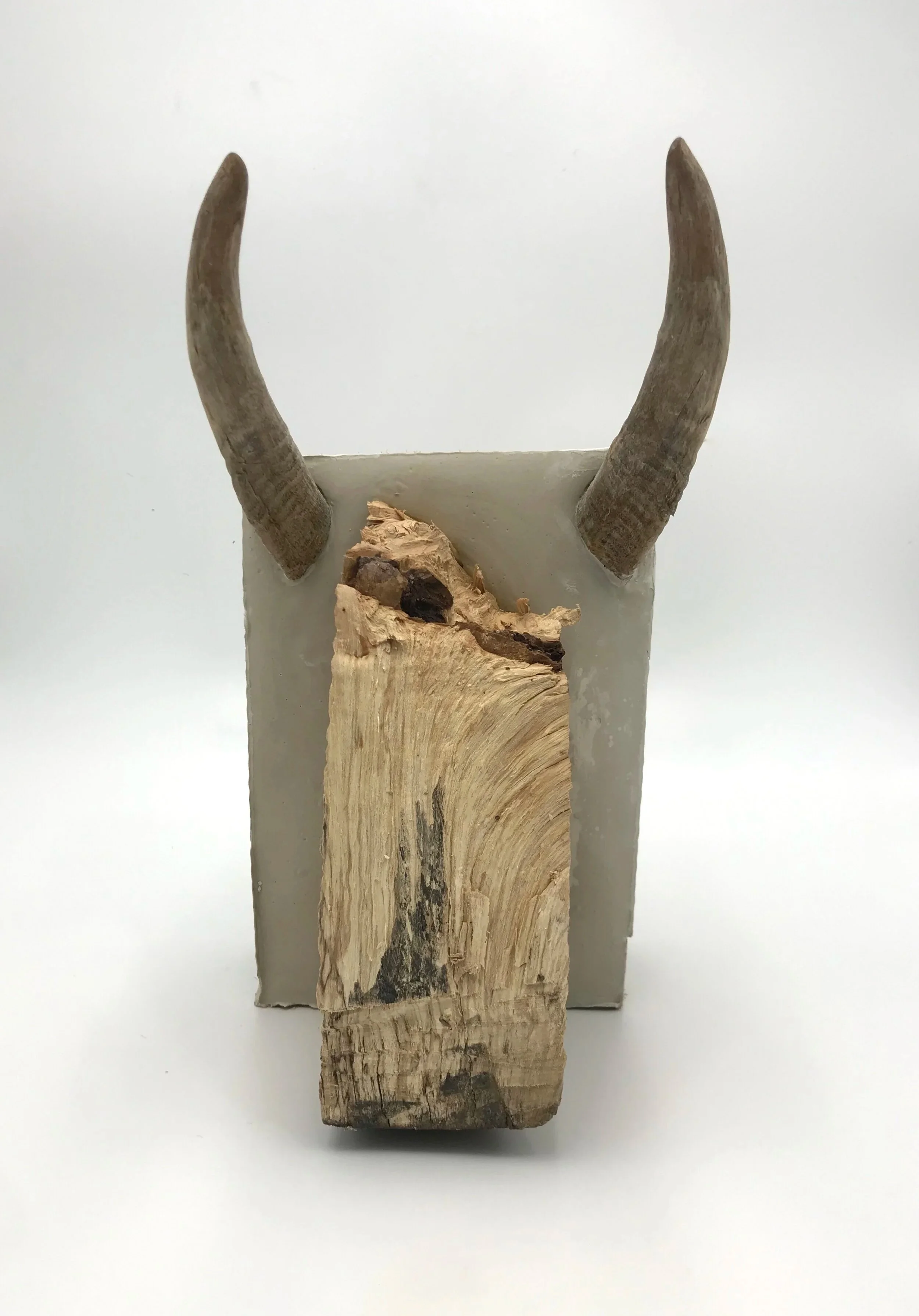 Husbandry, plaster, cardboard wood, goat horns, electric cord 12"H X 6.5"W X 7.5"D (2022)