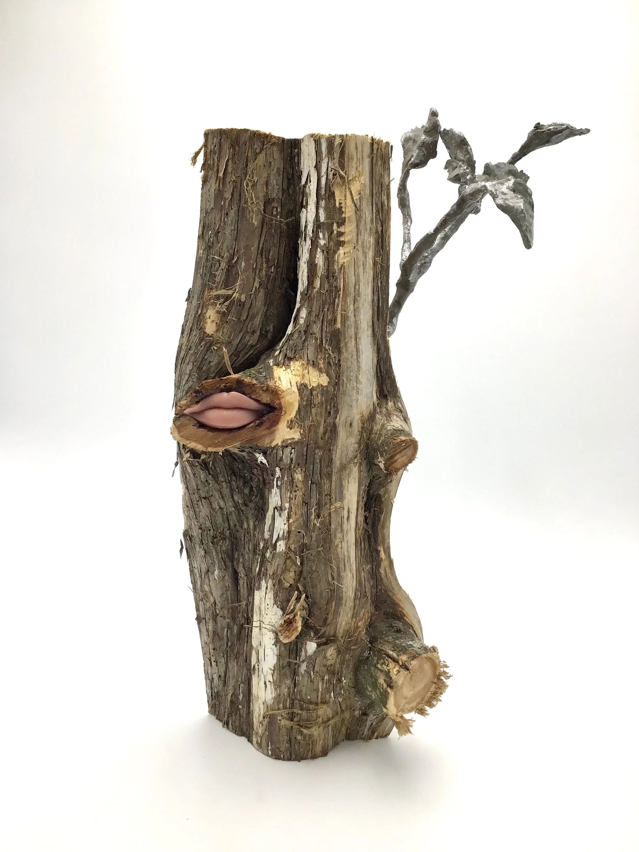 Drought , wood, sculptmetal, brass spigot, silicone mouth mold, 22"H X 12"W X 13"D (2022)