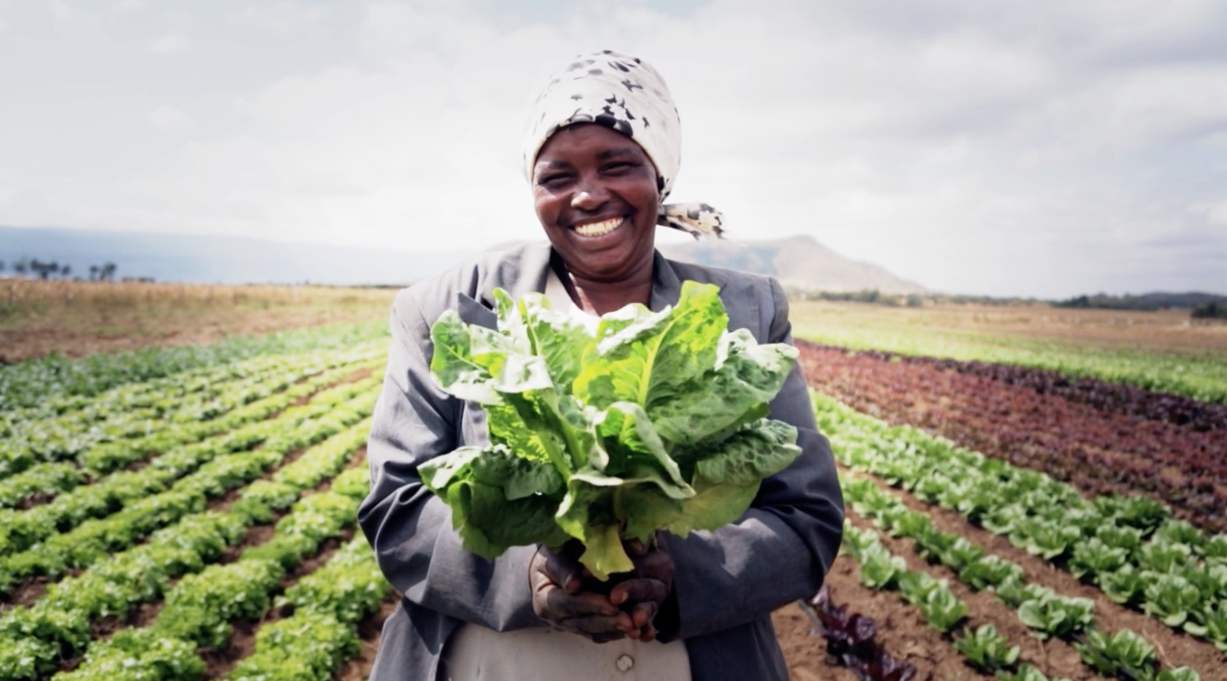 Partners in Food Solutions