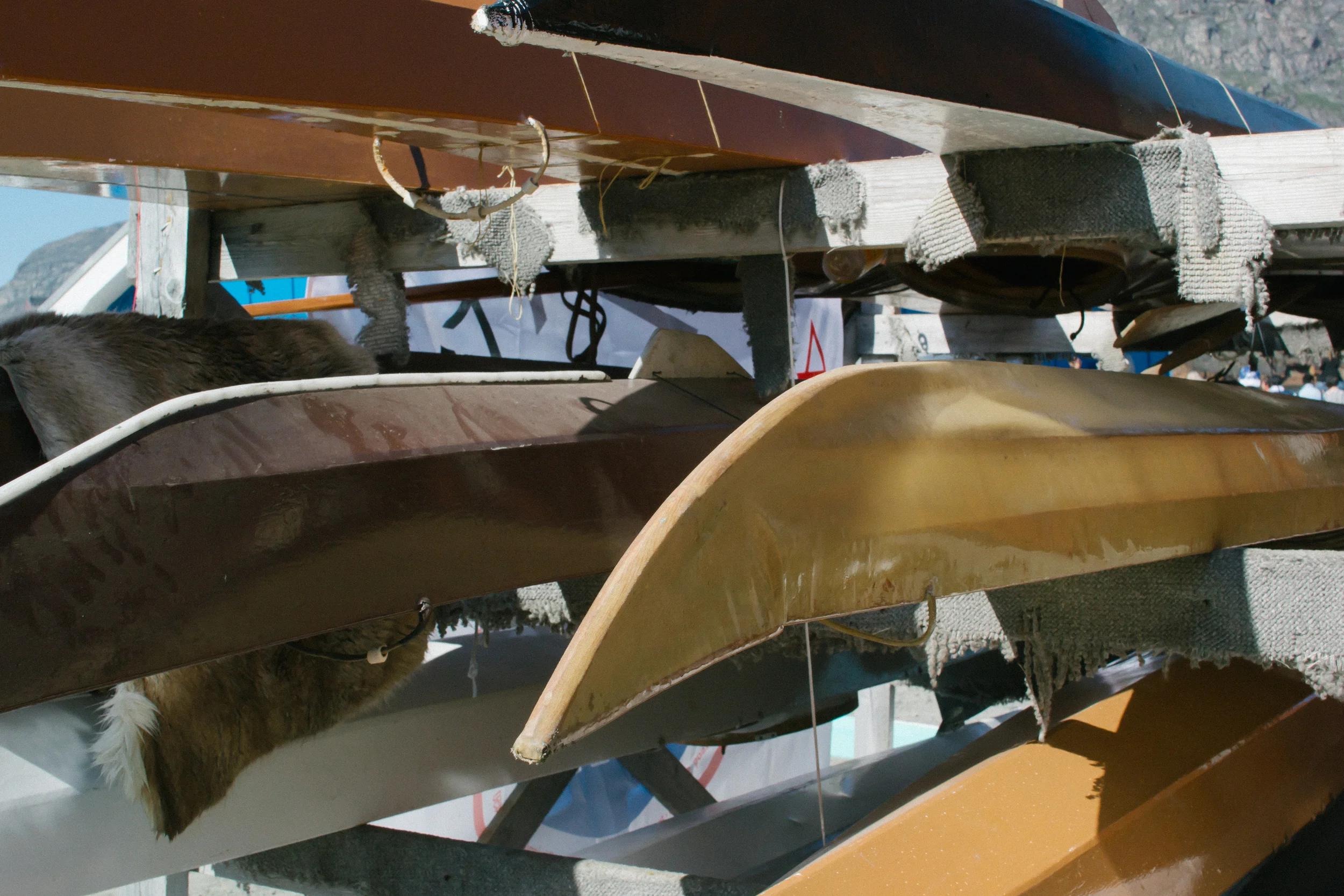 DSC_1465.jpg