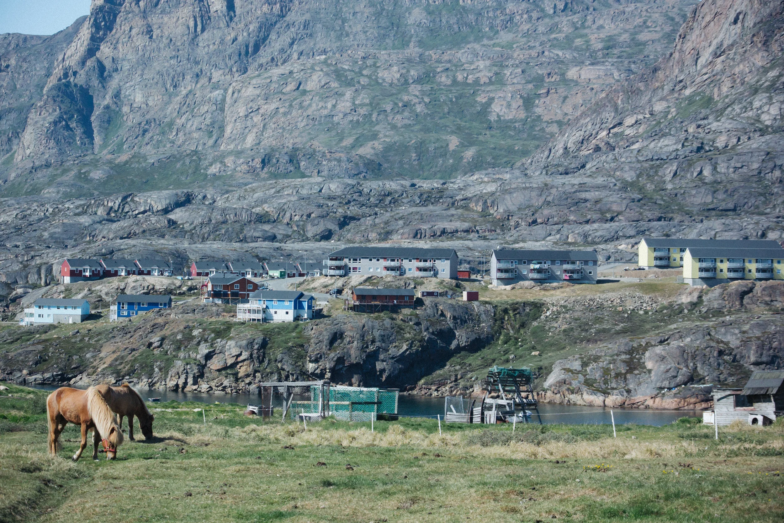 DSC_1495.jpg