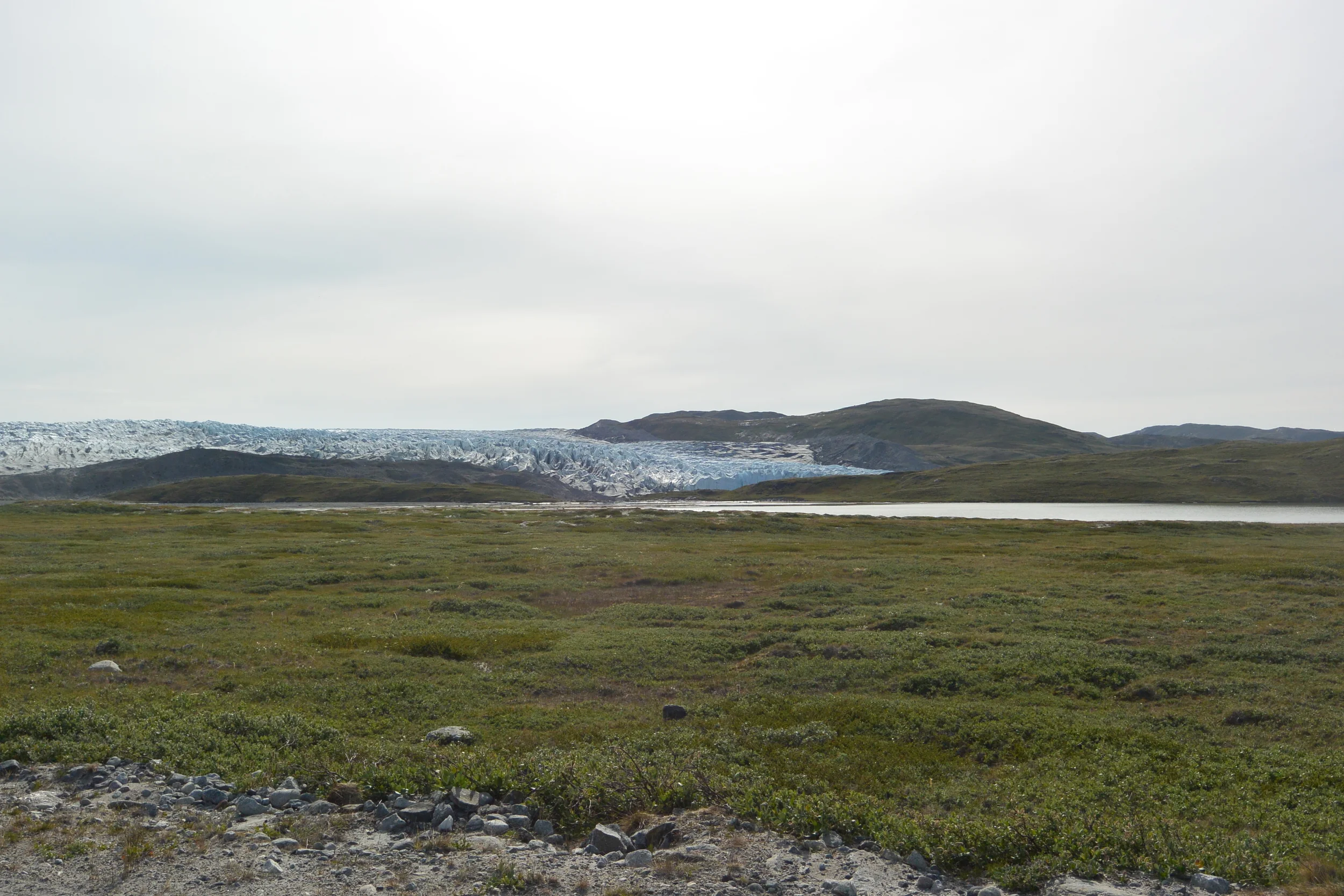 DSC_1647.JPG