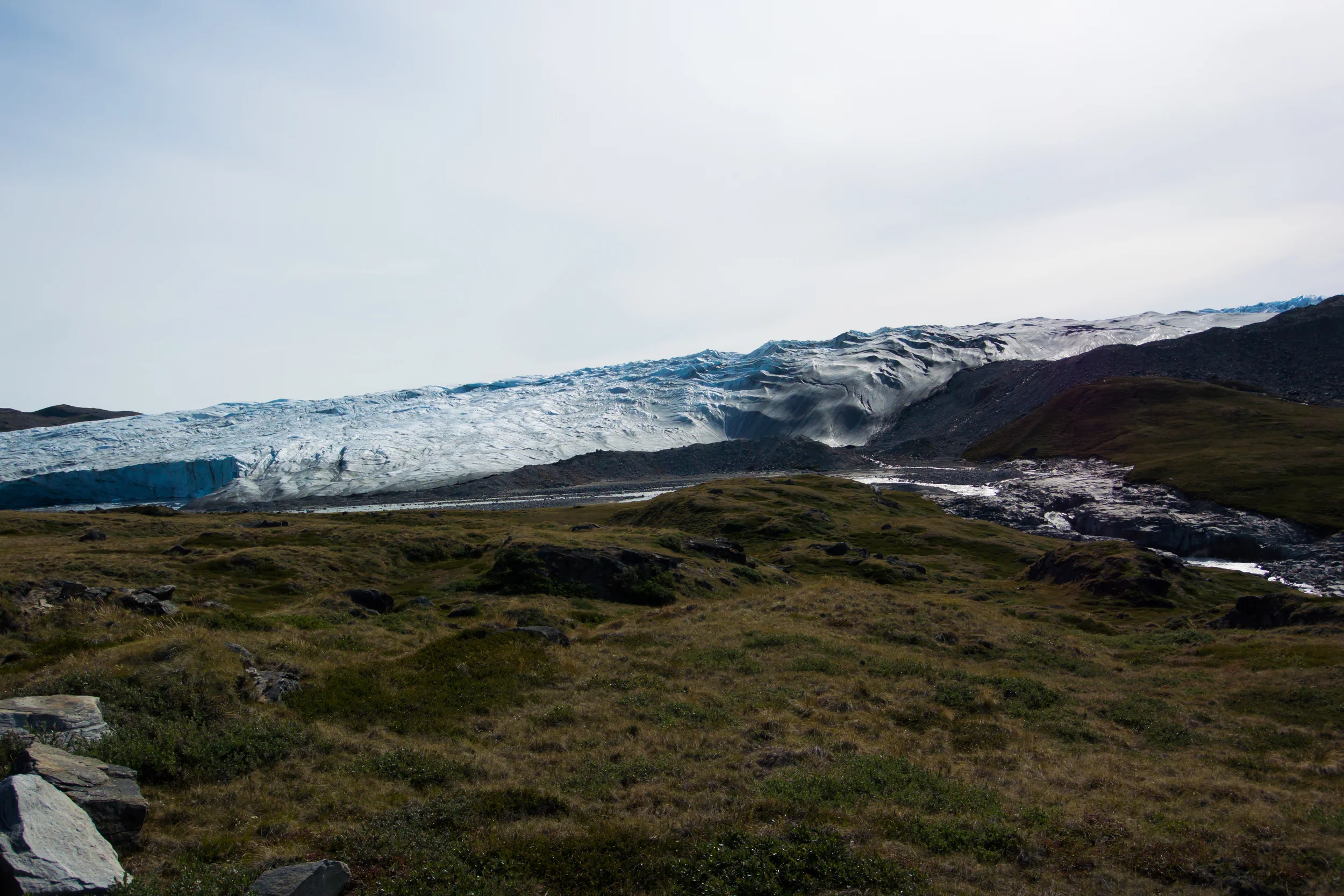 DSC_1651.jpg