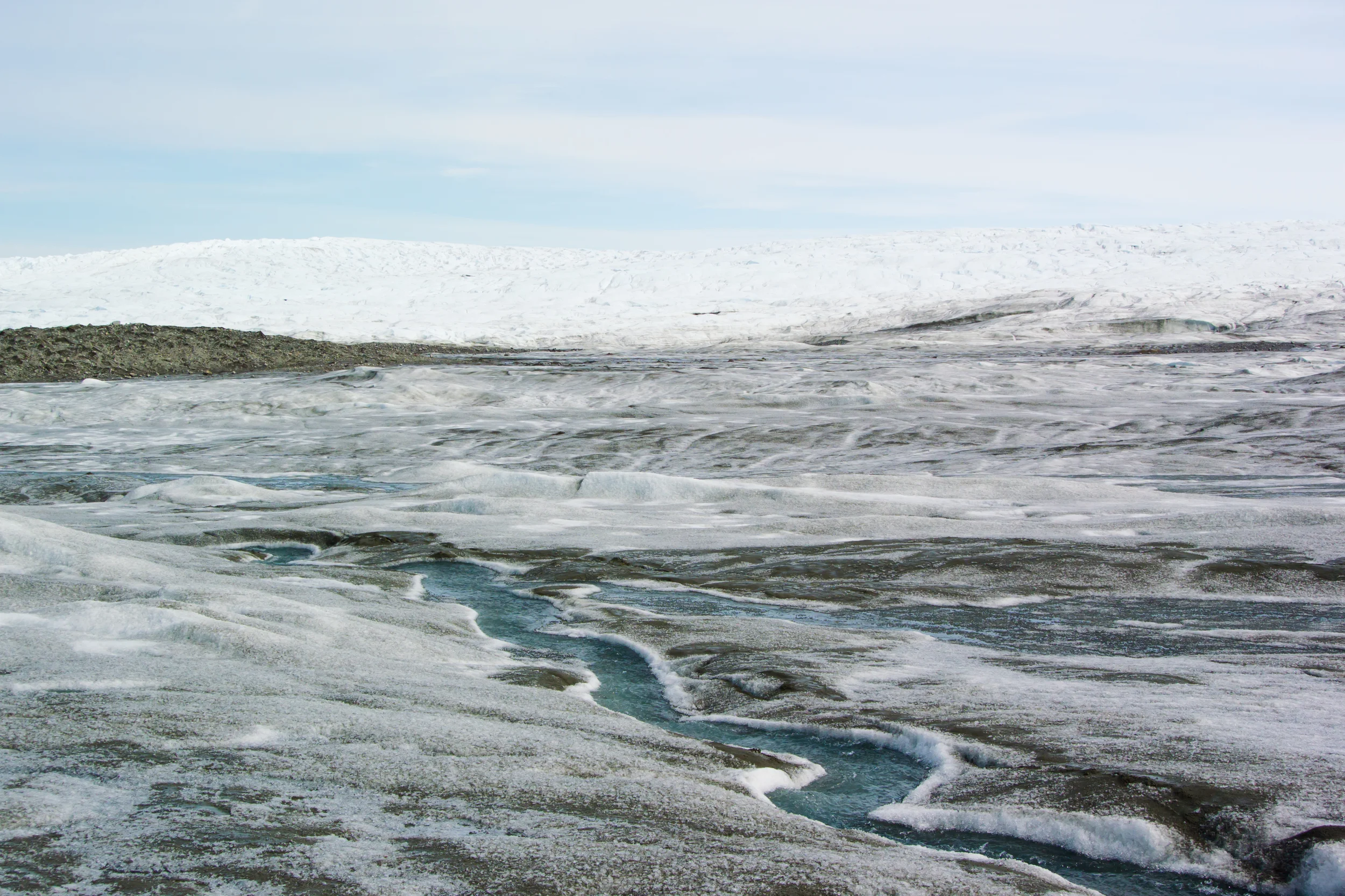 DSC_1669.jpg