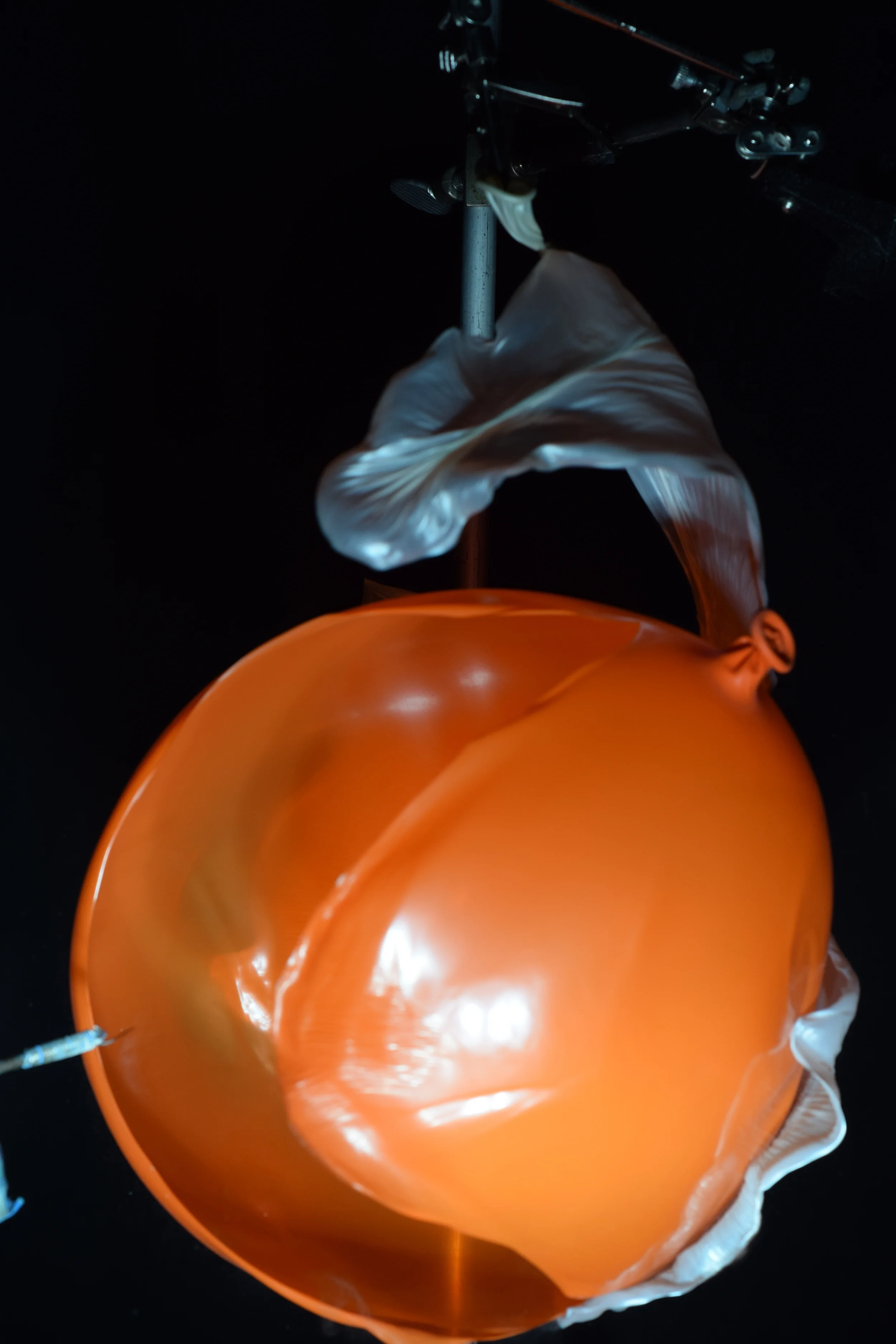 DSC_0350.JPG
