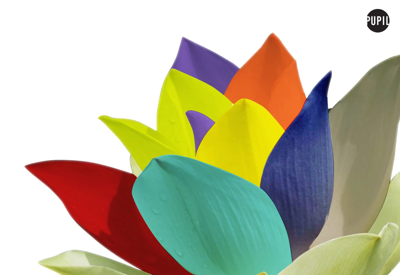lotus copy.jpg