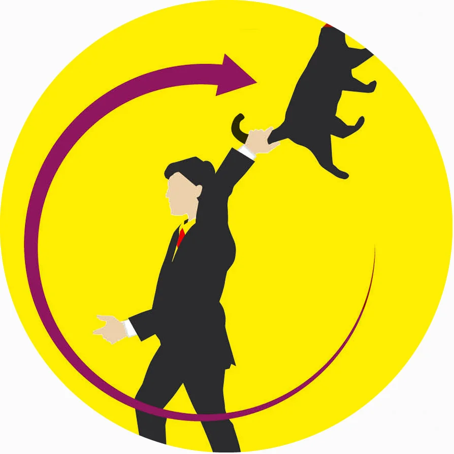 swing the cat.jpg
