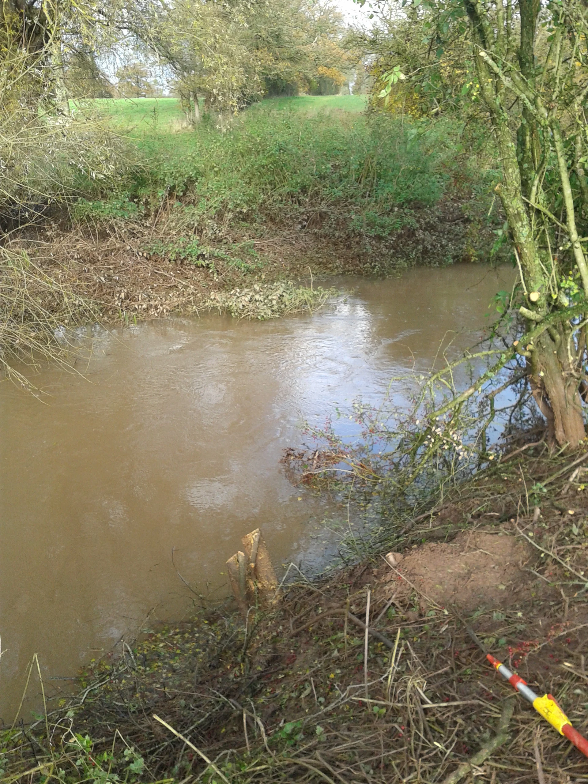 20141122_114239.jpg