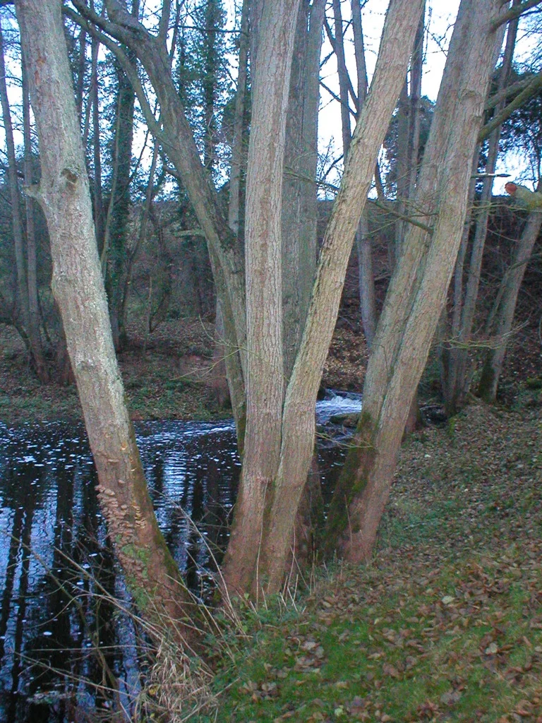 PB150060.jpg