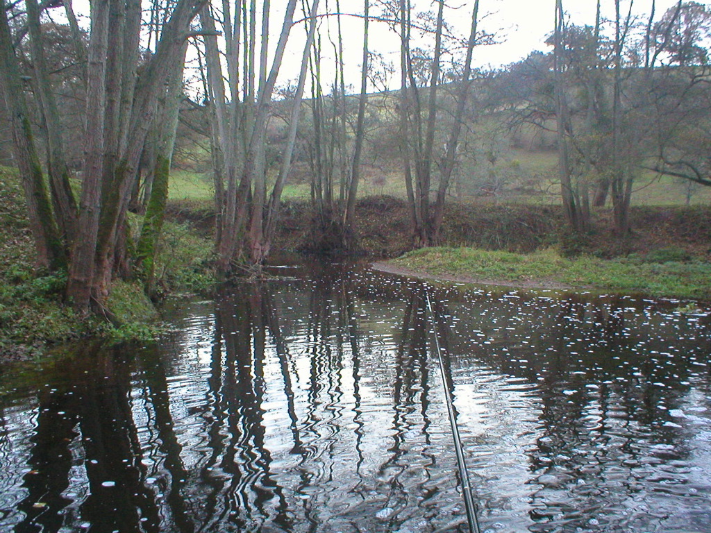 PB150055.jpg