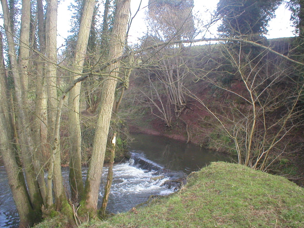 P3130003.jpg