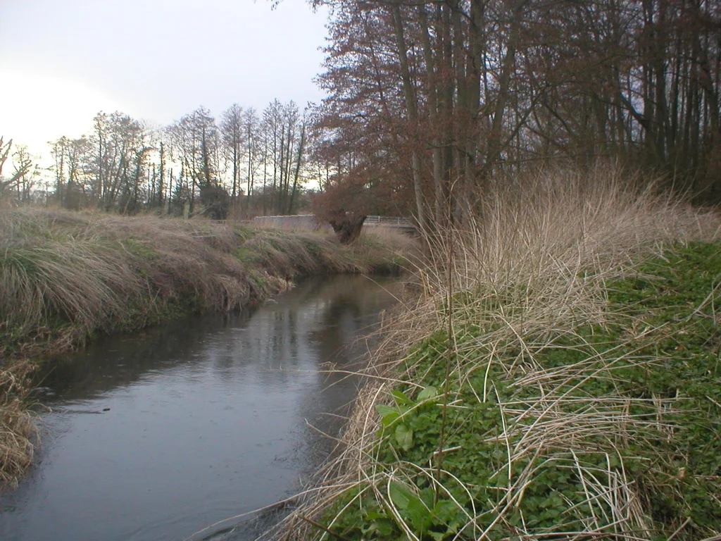 P3130018.jpg