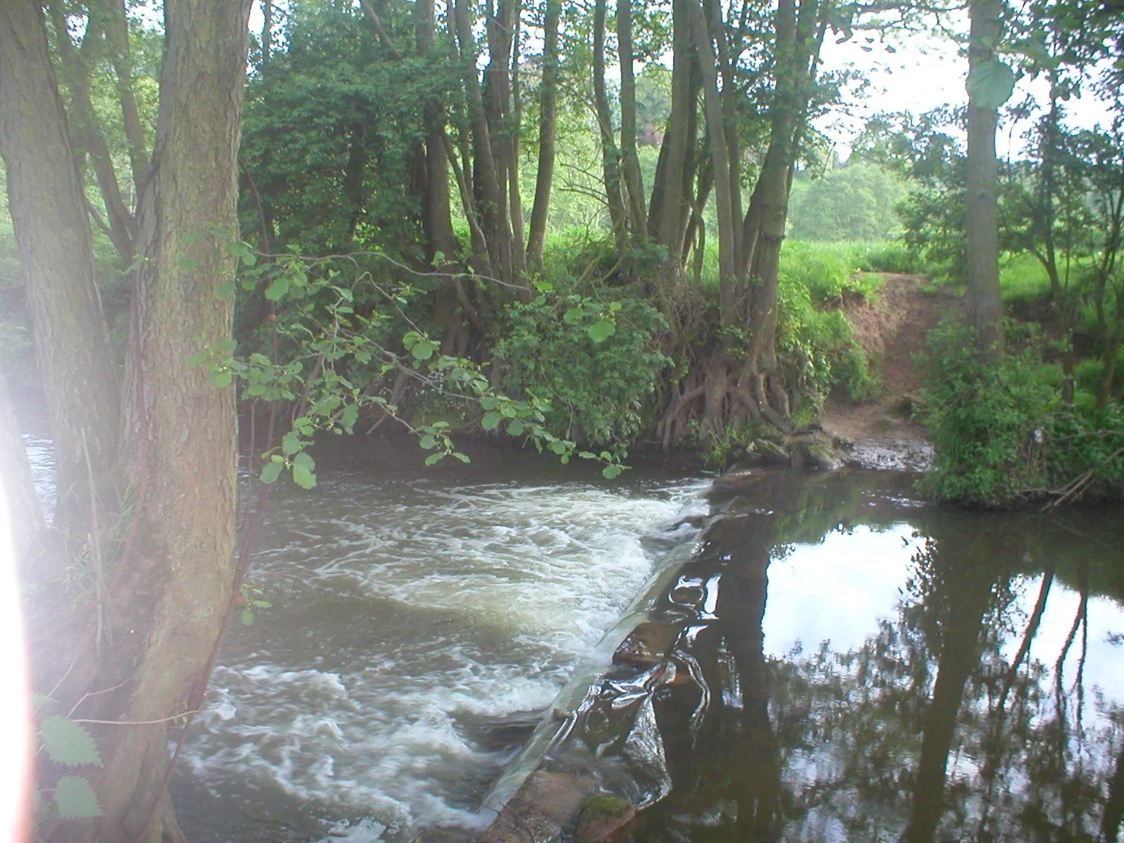 P5130024.jpg