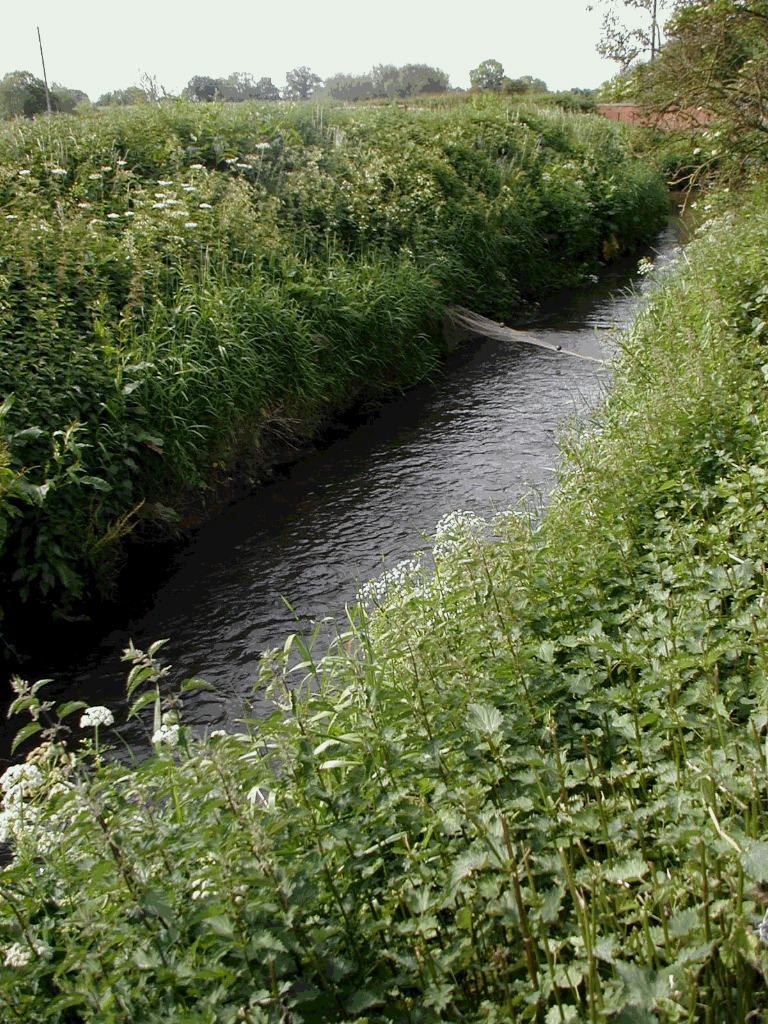 Image3.jpg