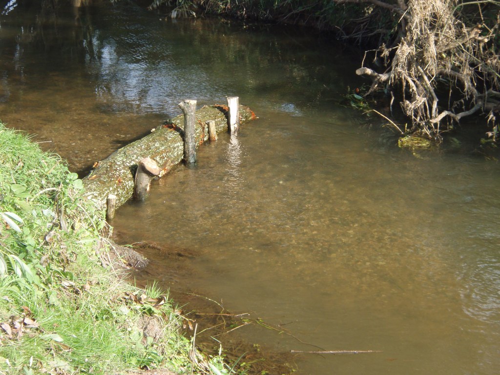 P9280111.jpg