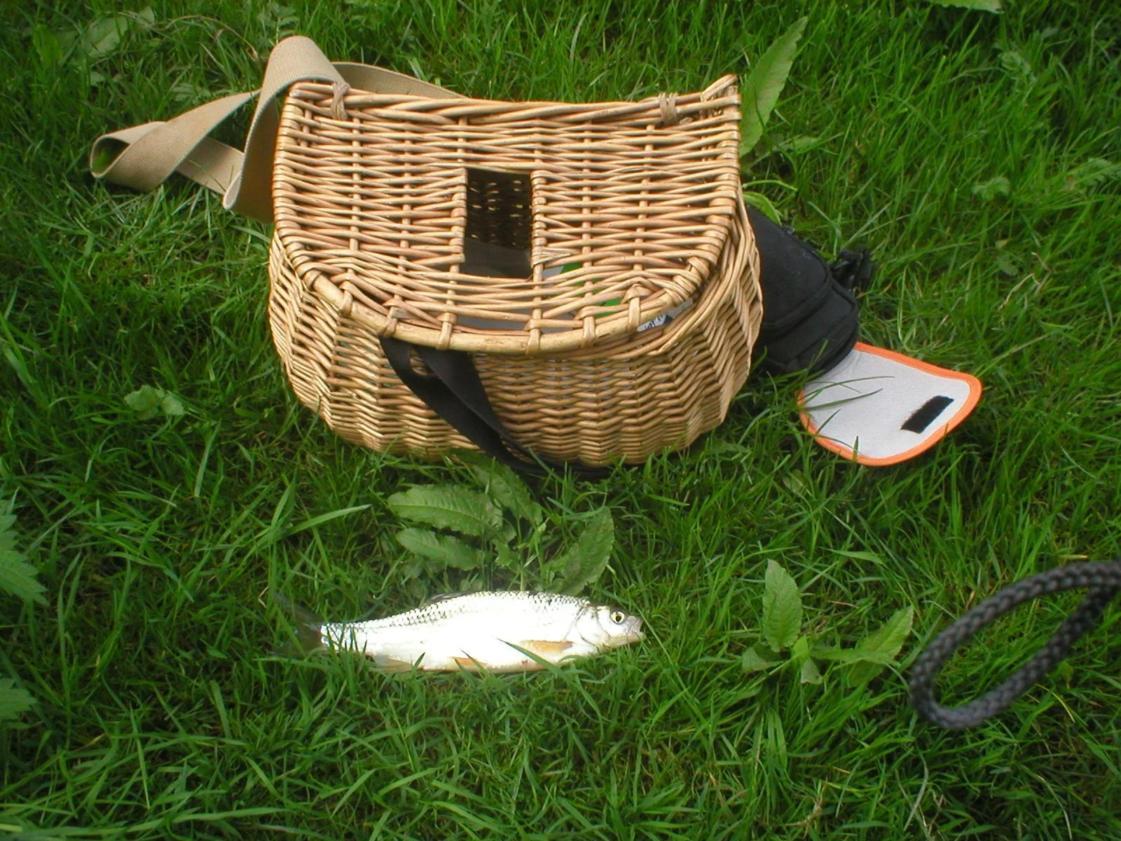 P5130020.jpg