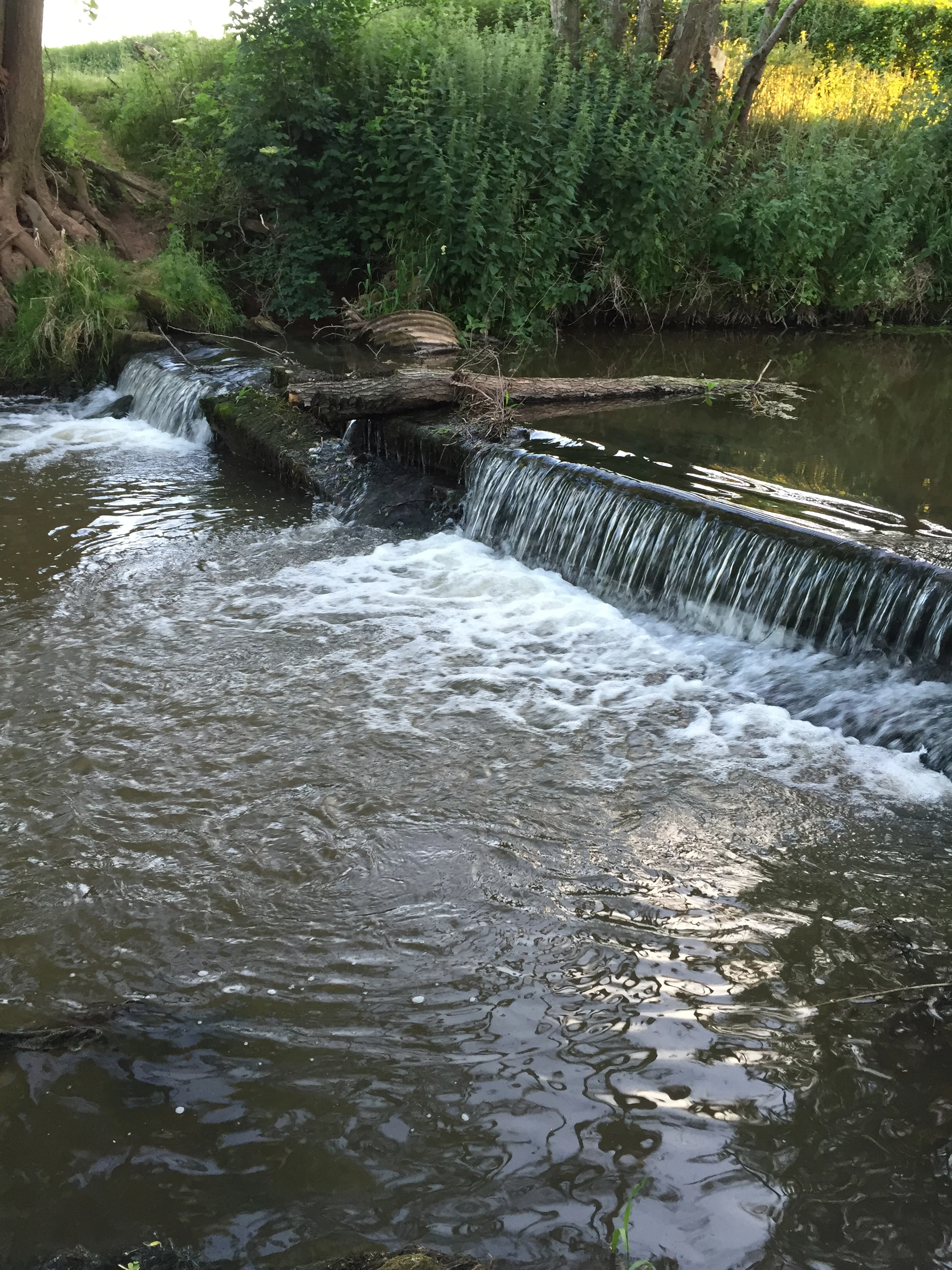 River Leadon Improvement Project gets green light