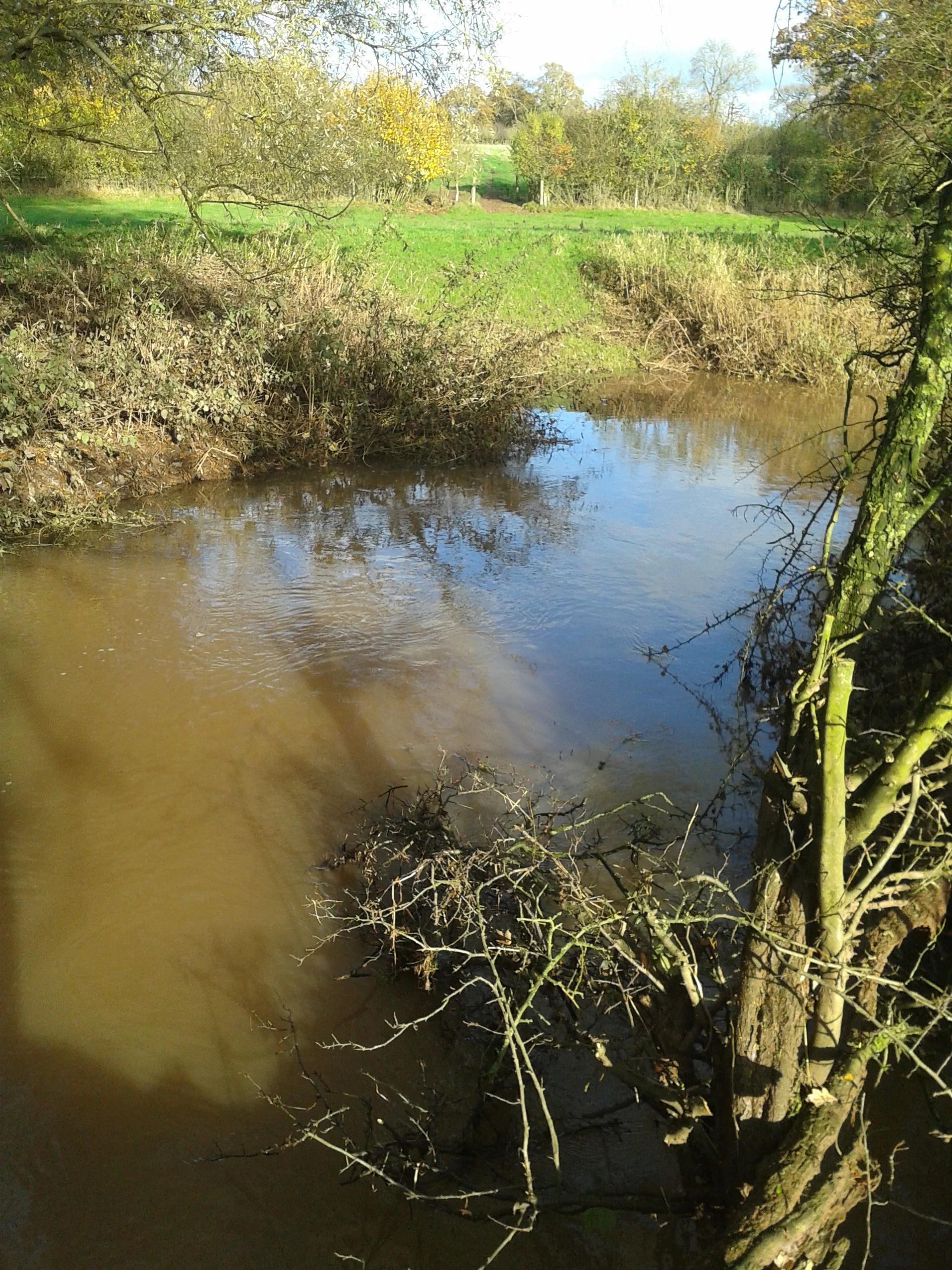 Working party update