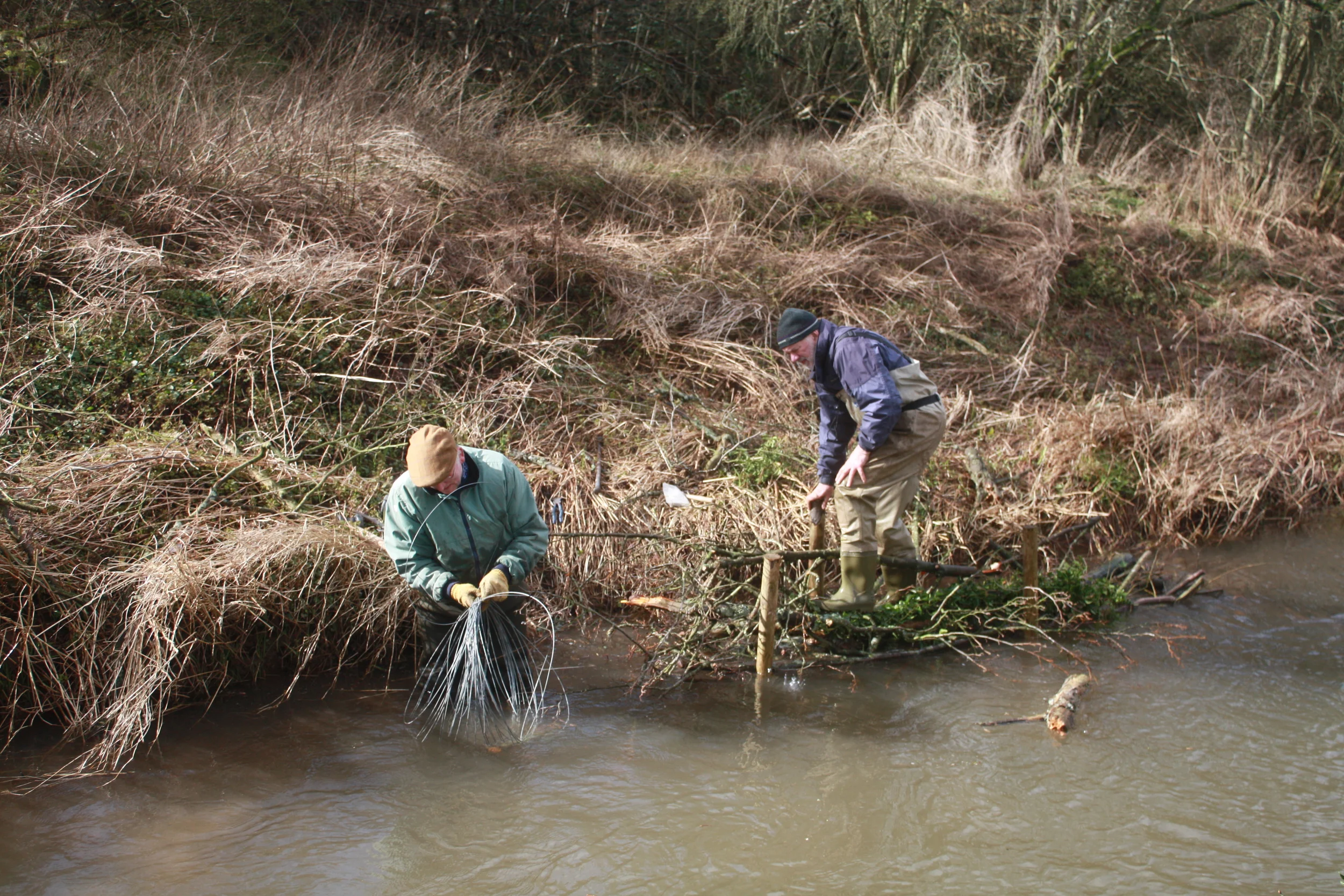 Nurturing the Leadon