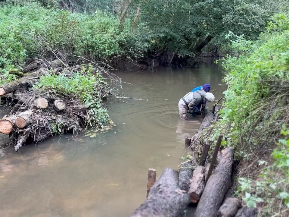 Great team effort at Durbridge last week converting a huge blockage into a feature that&rsquo;s perfect for fish and fishing! Thanks to @envagency for support #fisheryimprovementproject #anglingimprovementfund #habitatimprovement #riverleadon #gac #t