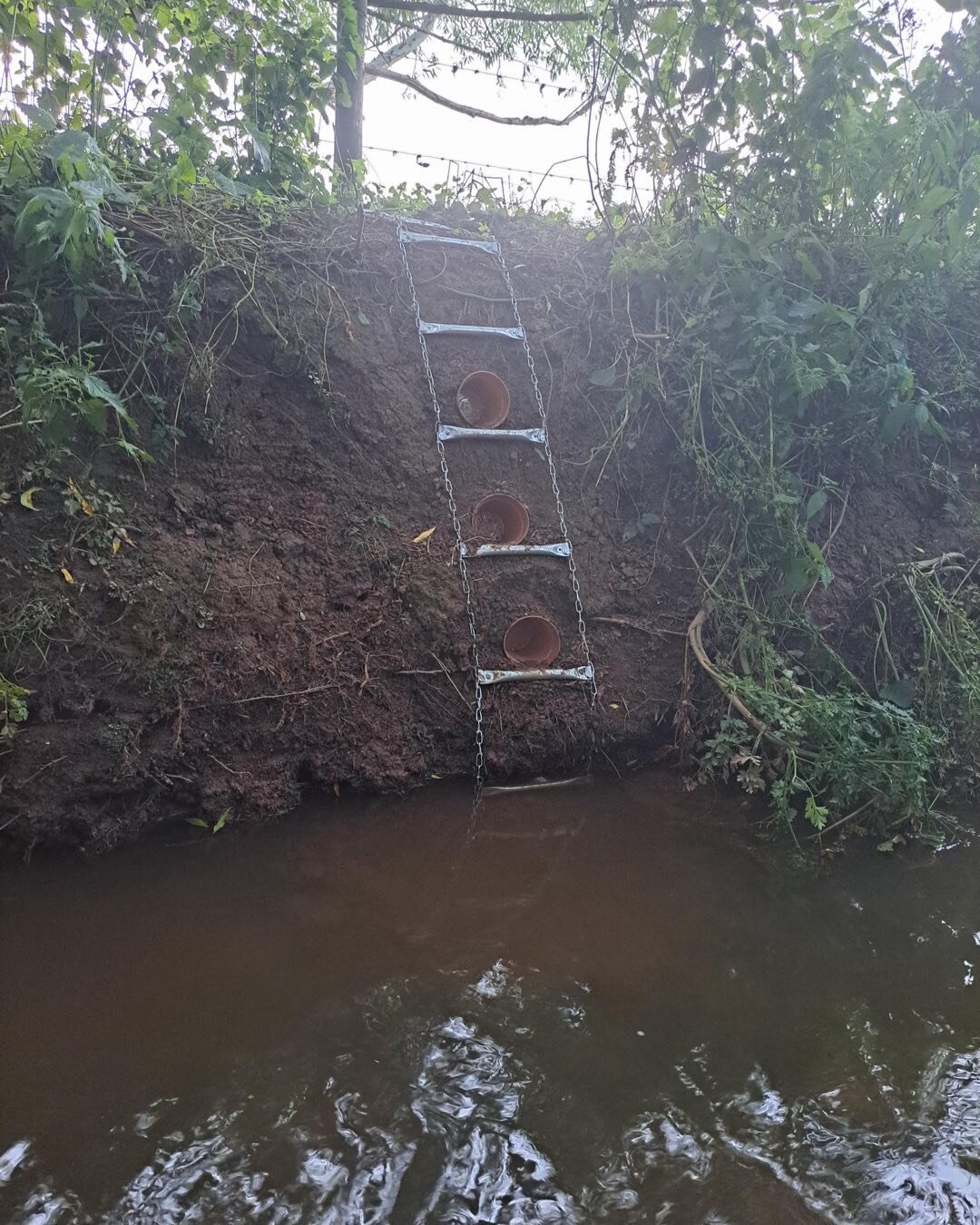 Ingenious work by our member Barry Townsend to improve river access at Upleadon. #riverleadon #gac #anglingimprovements
