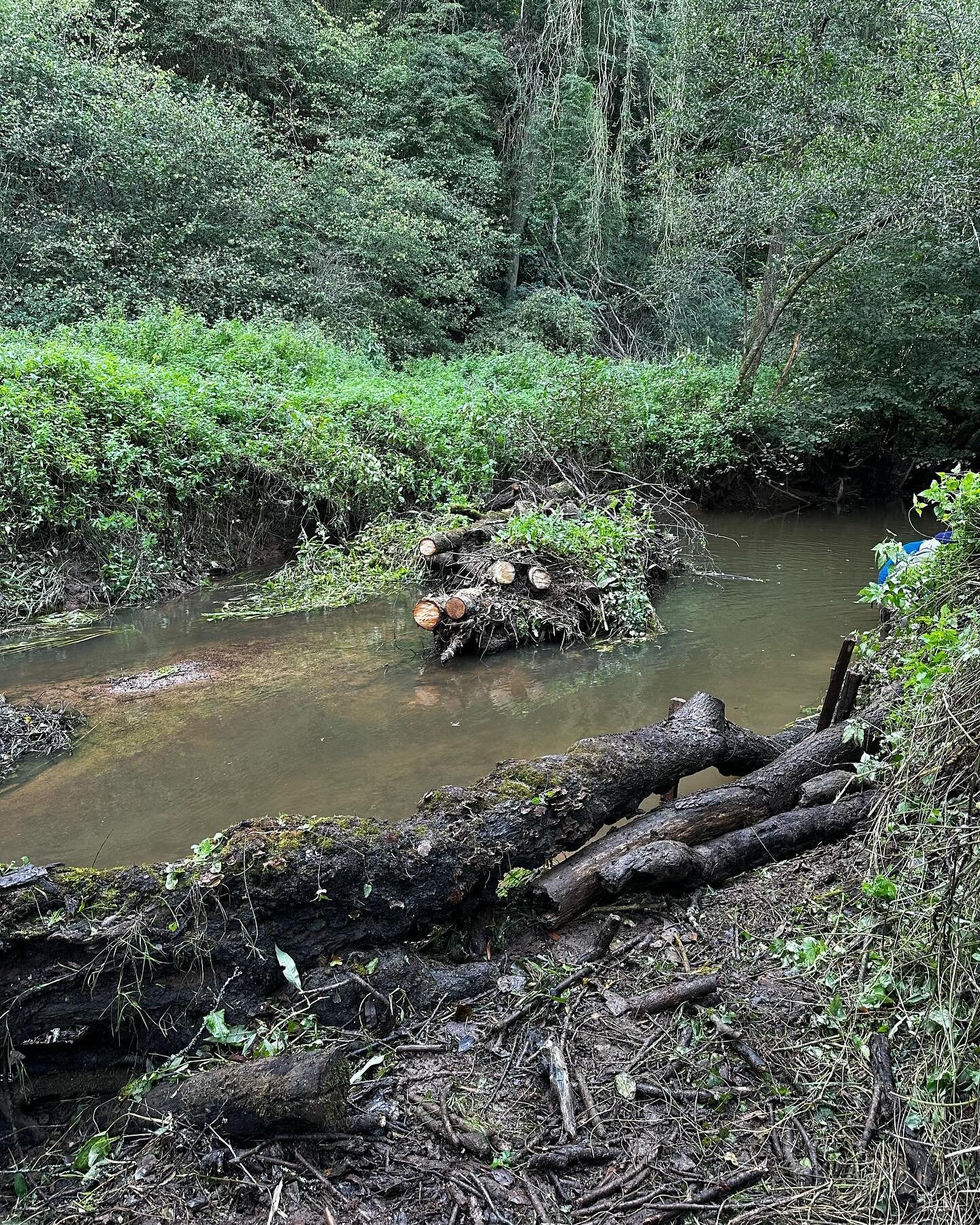 Great use of woody debris to transform a full width blockage into a fish holding feature. #habitatimprovement #riverleadon #woodydebris #woodydebrisinrivers