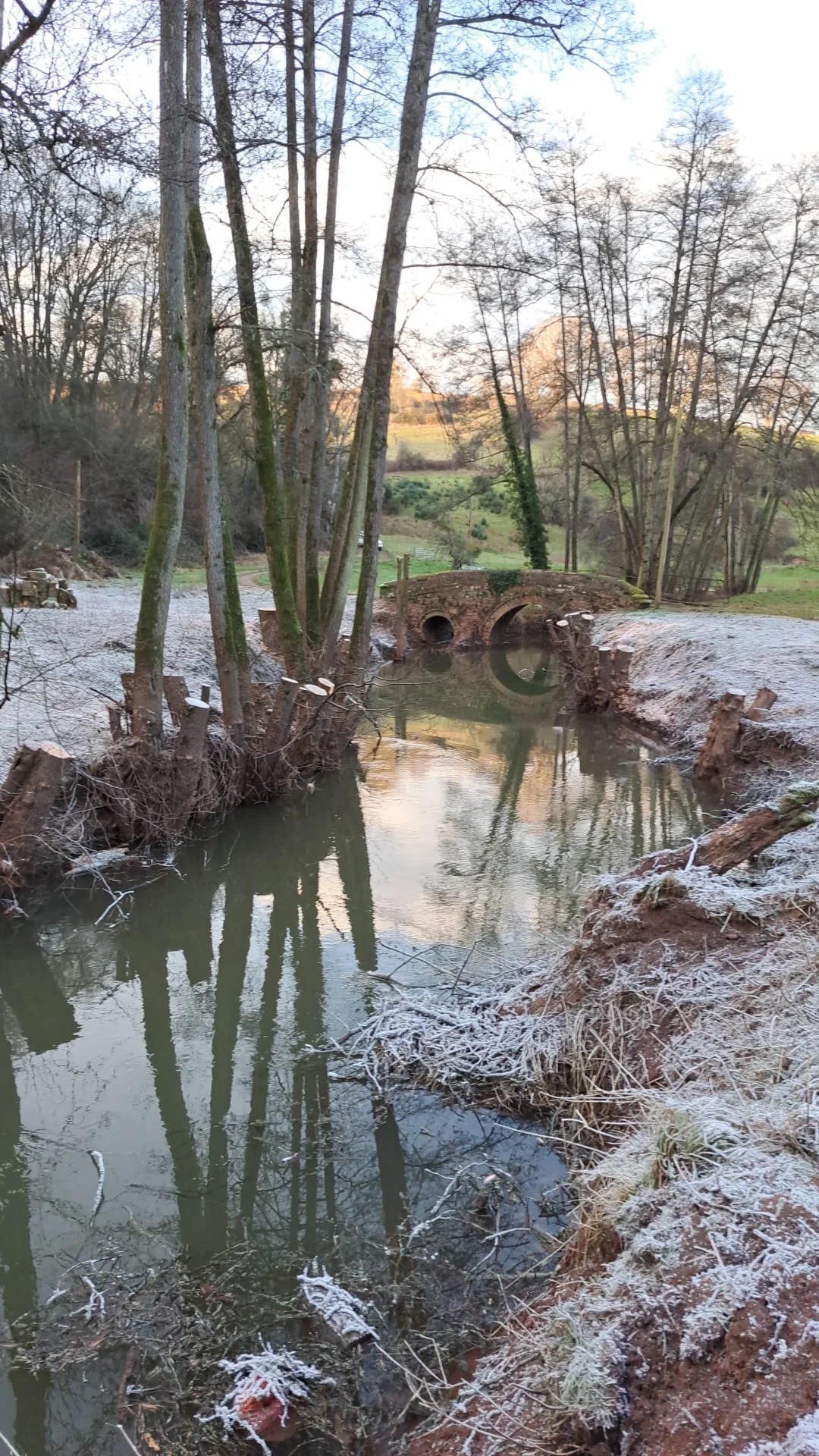 The ancient craft of Coppicing 2024