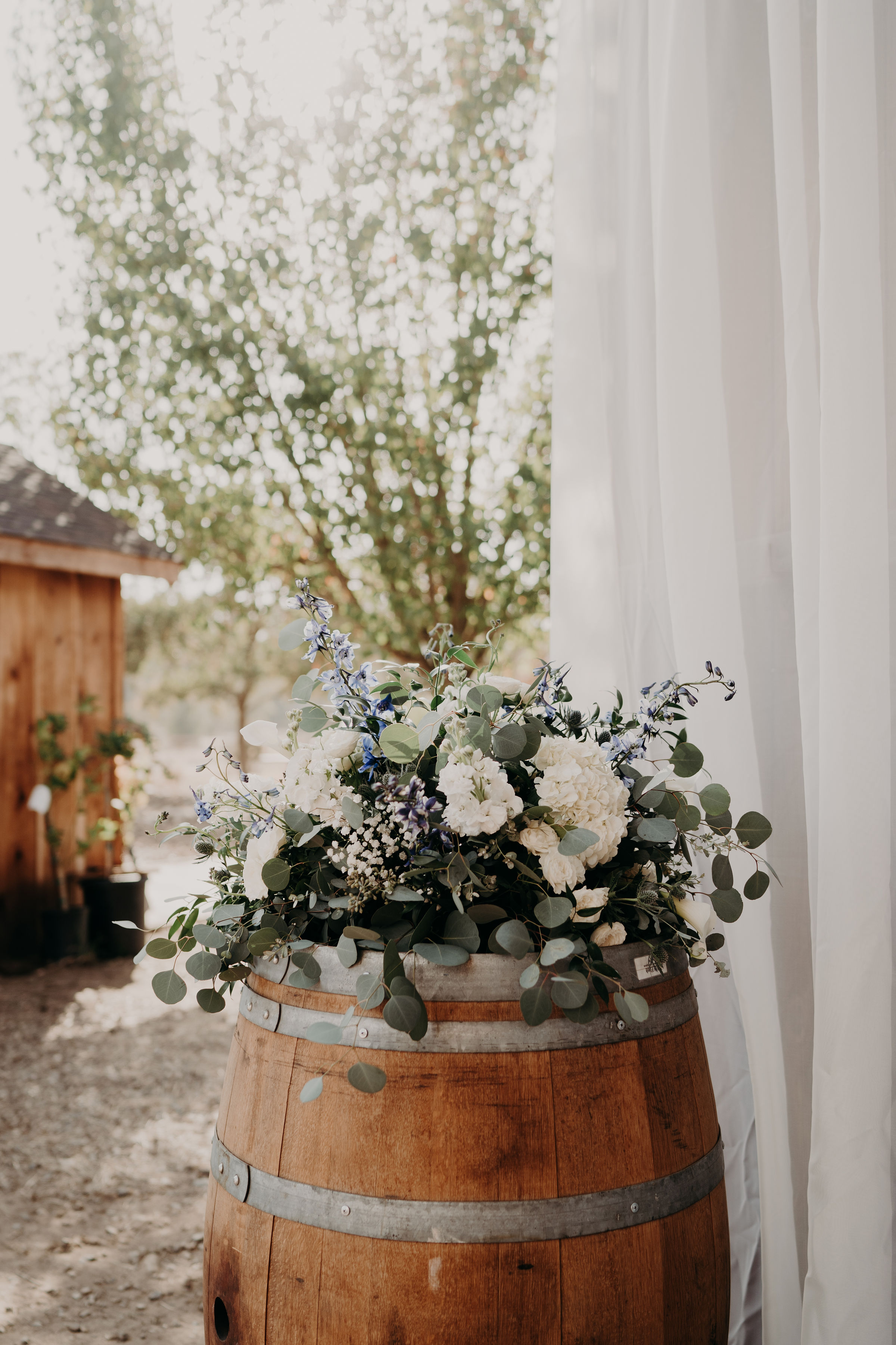 Photo Courtesy of Ashley Purple Photography
