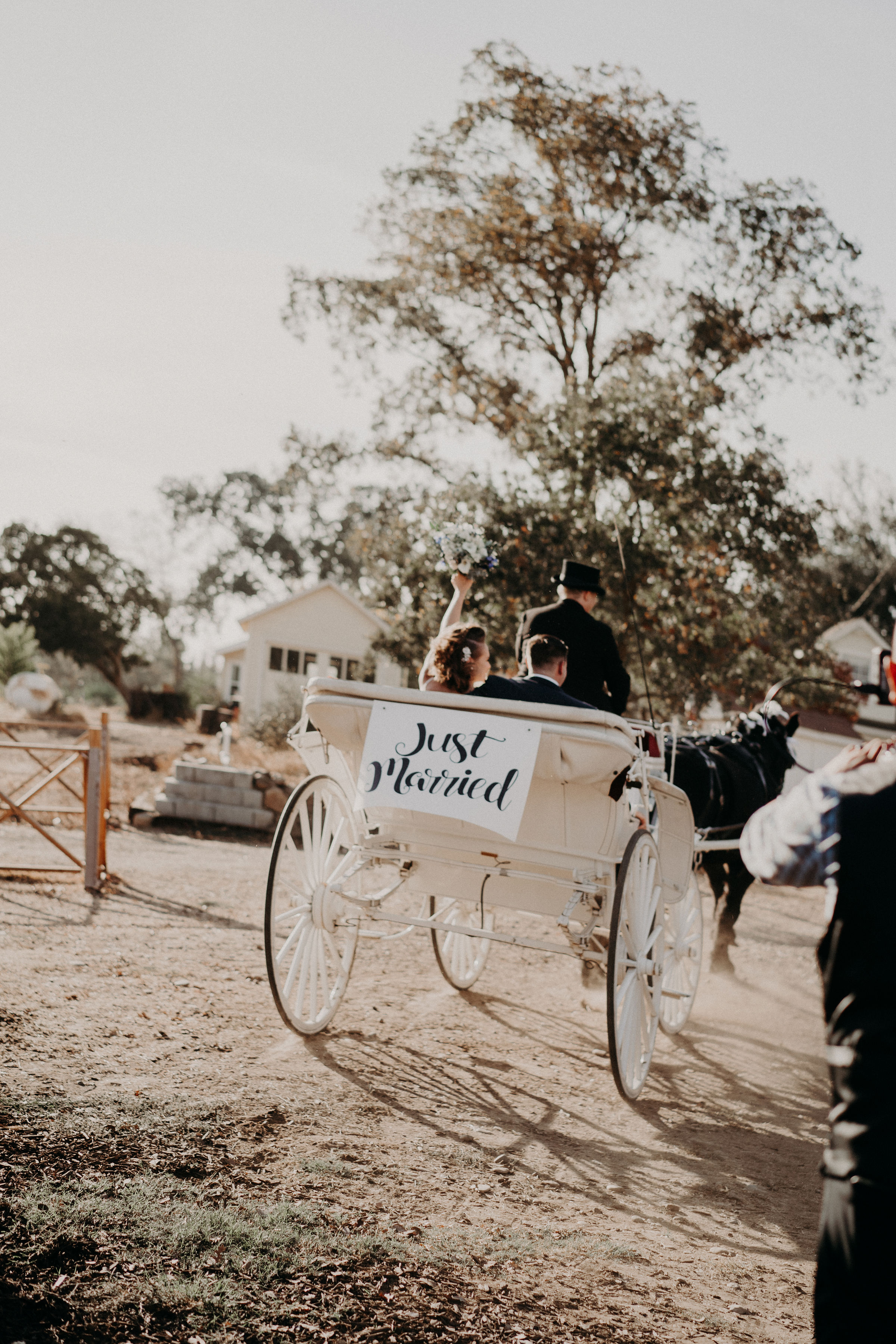Photo Courtesy of Ashley Purple Photography