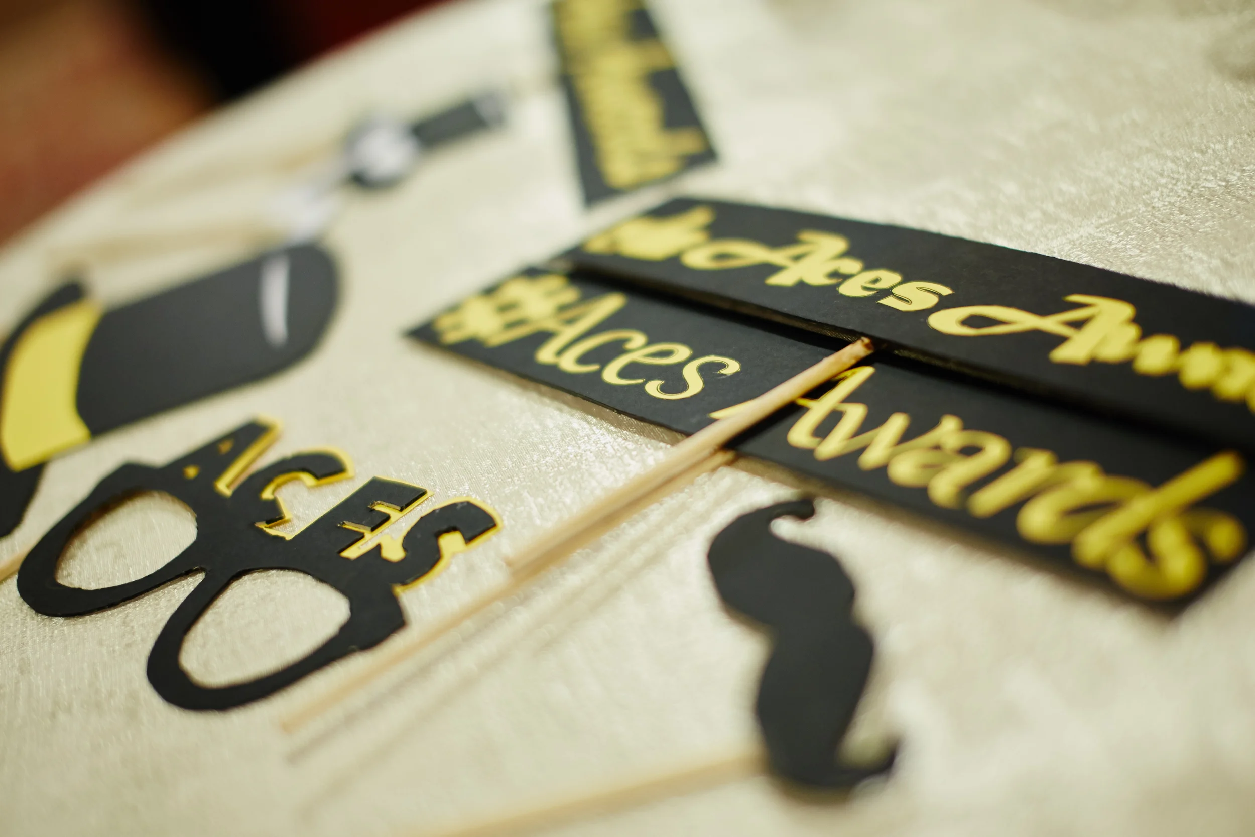 ACES_2015-012.jpg