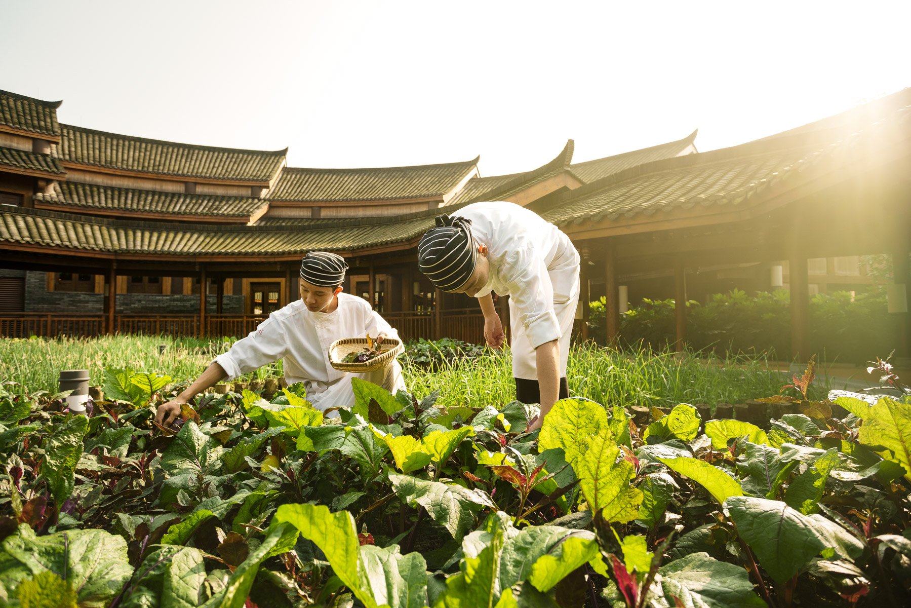 Six Senses Qing Cheng Mountain