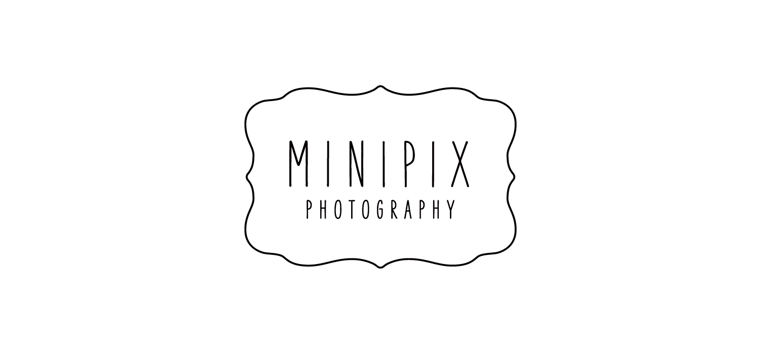 Minipix: Photography