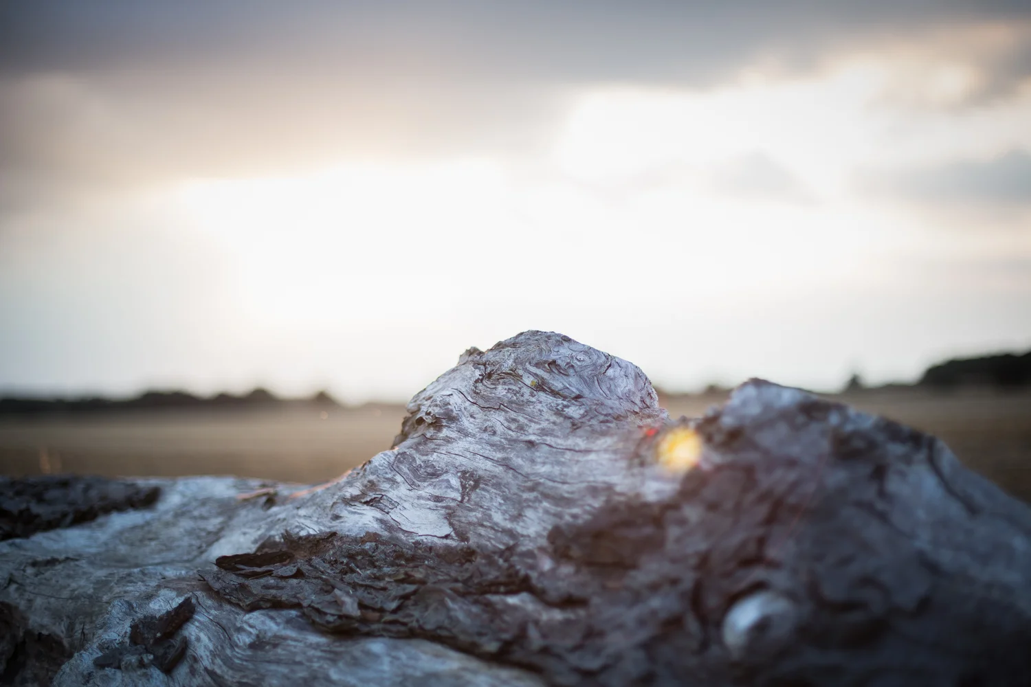 5L9A2647-Edit.jpg