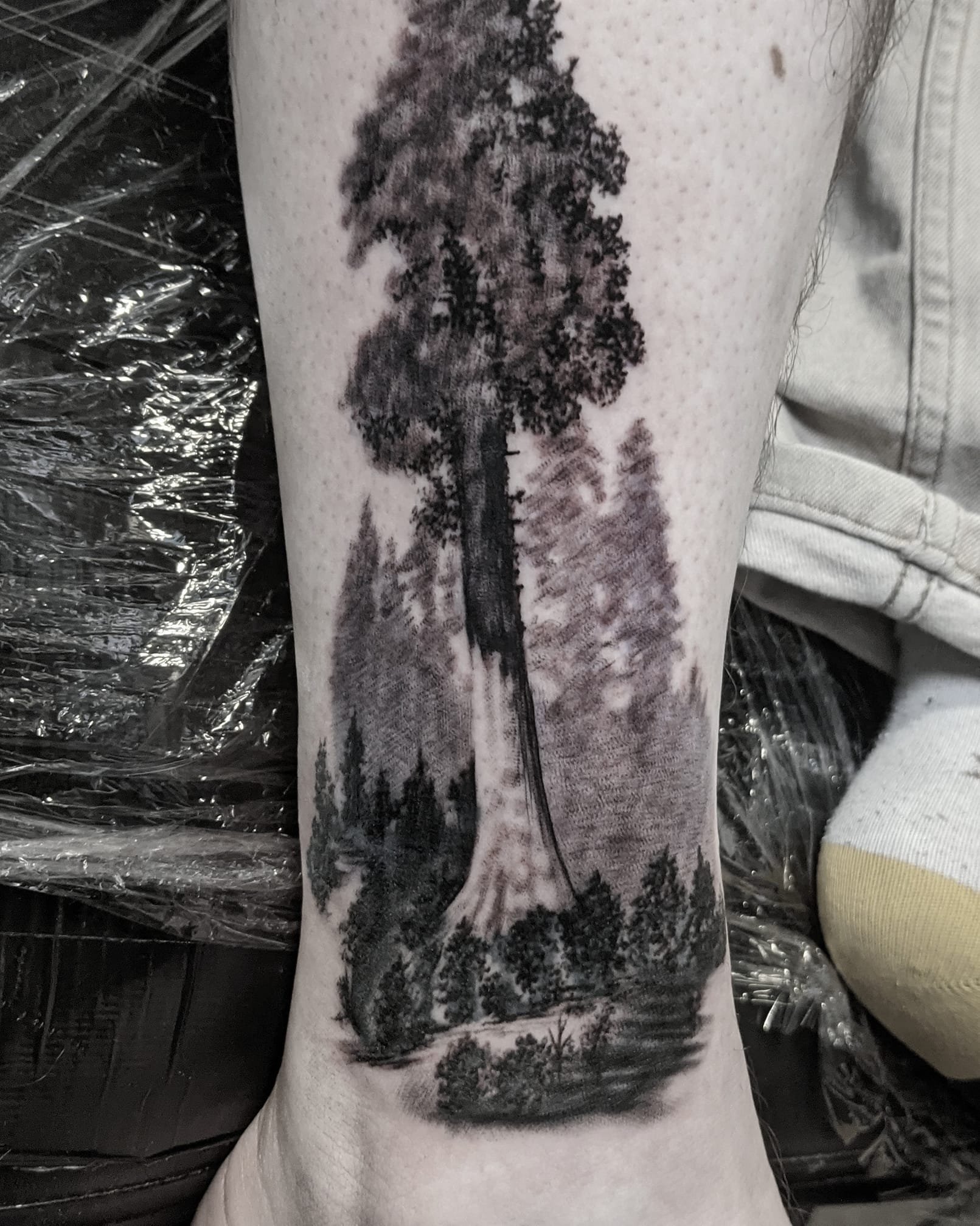 Arborist Tattoos  Page 5  General chat  Arbtalk  The Social Network For  Arborists