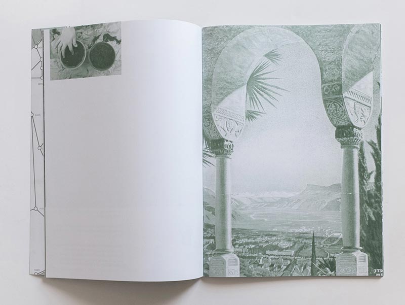  Nanna Debois Buhl, Palm Tree Studies in South Tyrol and Beyond, 2016, artist's book published by Humboldt Books 