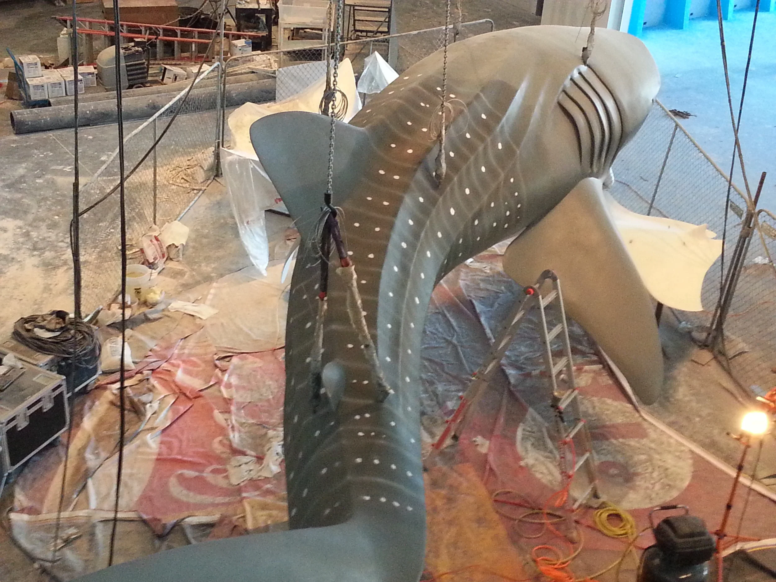 2014-01-24 13.57.12.jpg