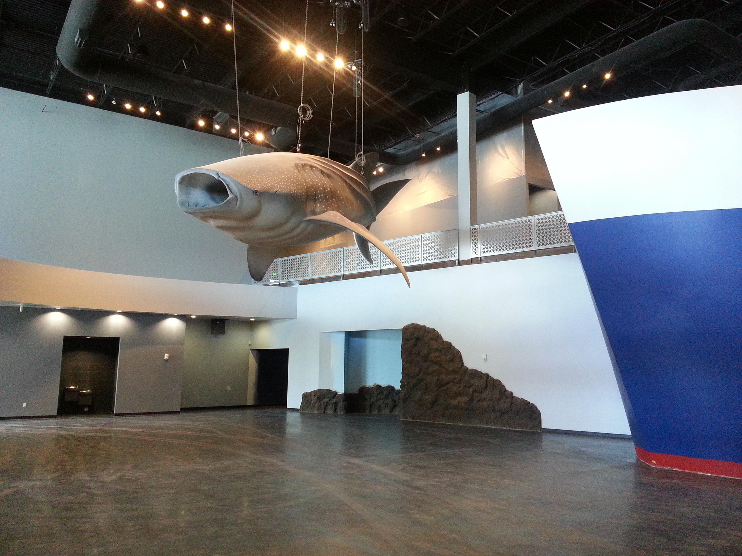 2014-02-26 13.31.58.jpg