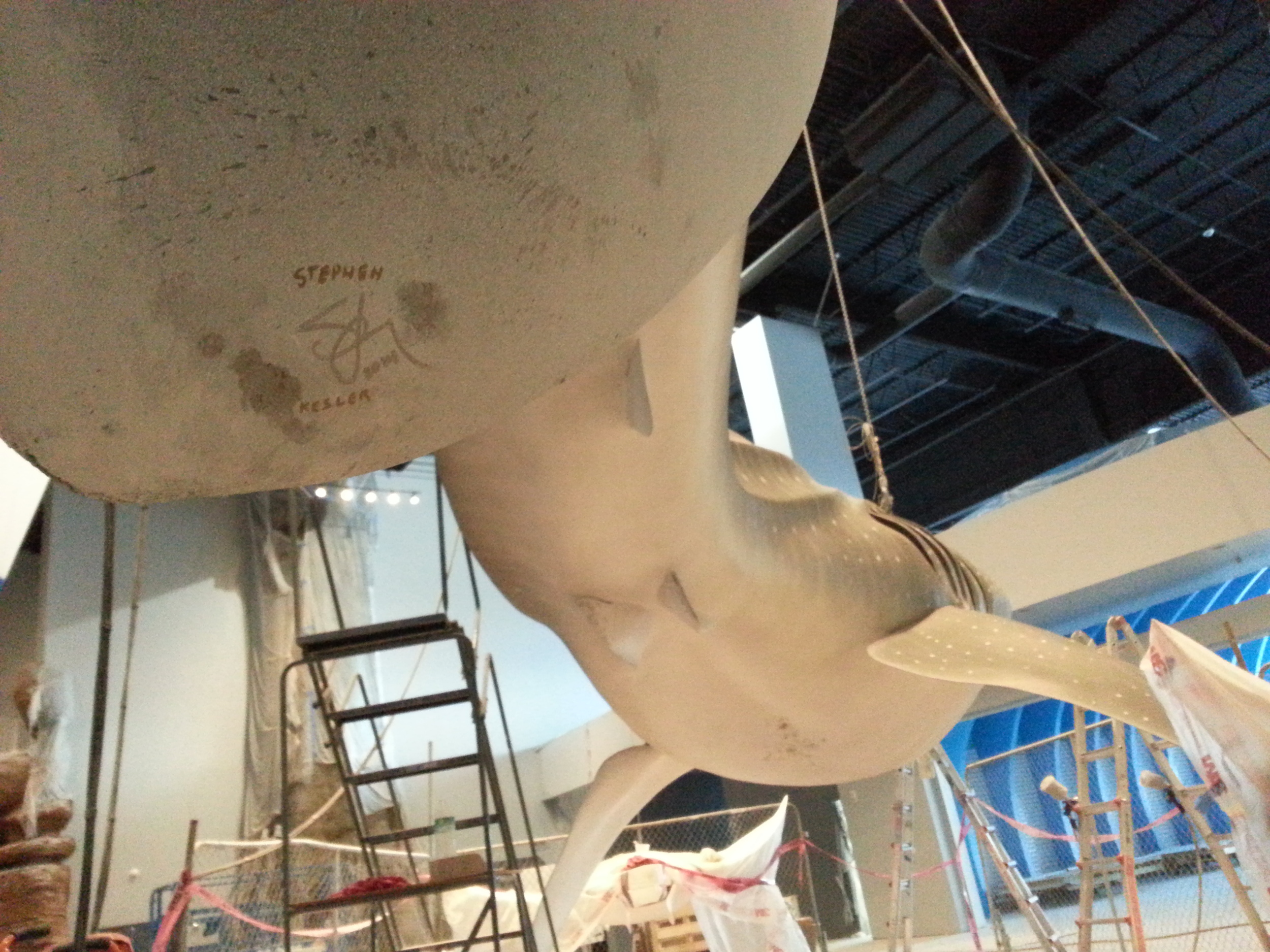 2014-02-09 15.47.06.jpg