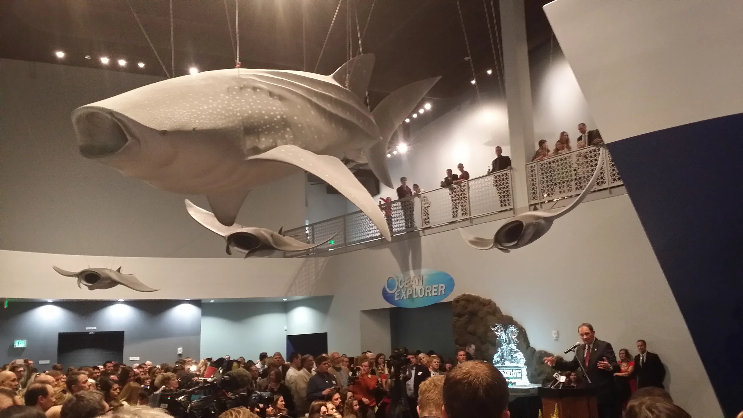 2014-03-22 20.11.15.jpg