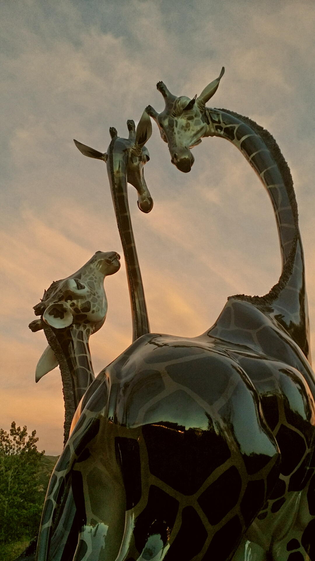 2014-05-29 20.56.44-2.jpg