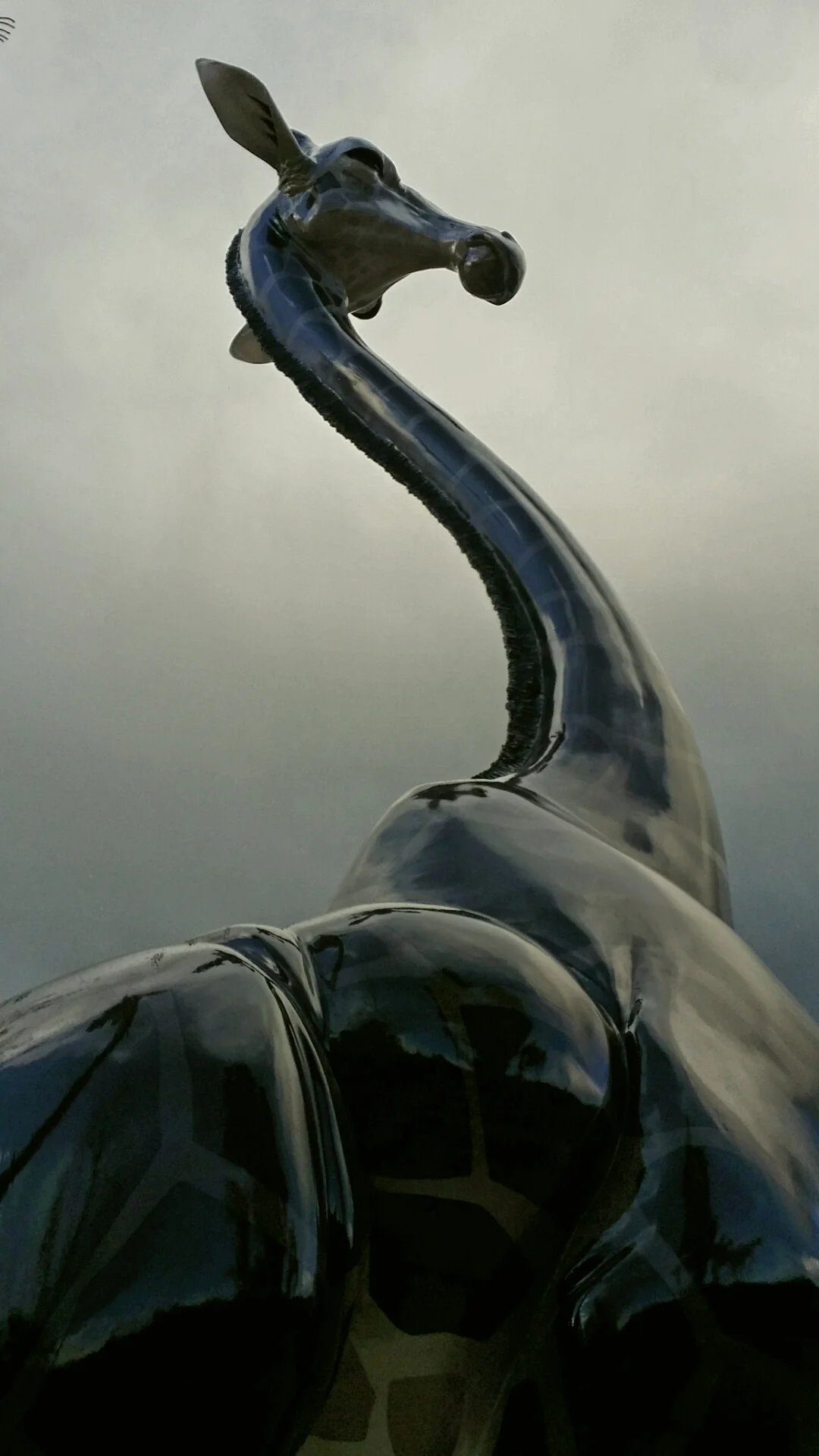 2014-05-30 19.50.38-2.jpg