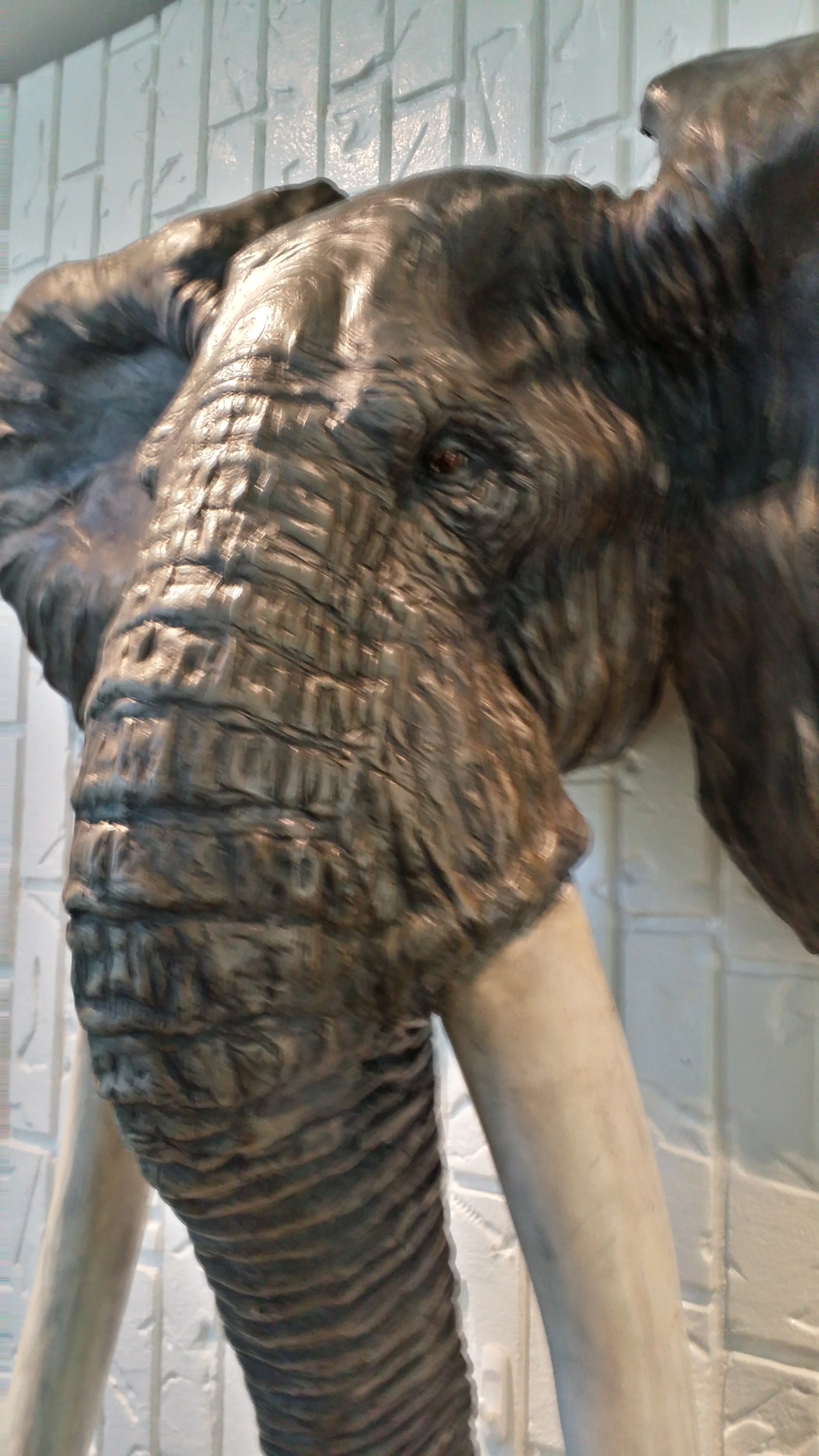 2014-06-22 13.43.29.jpg