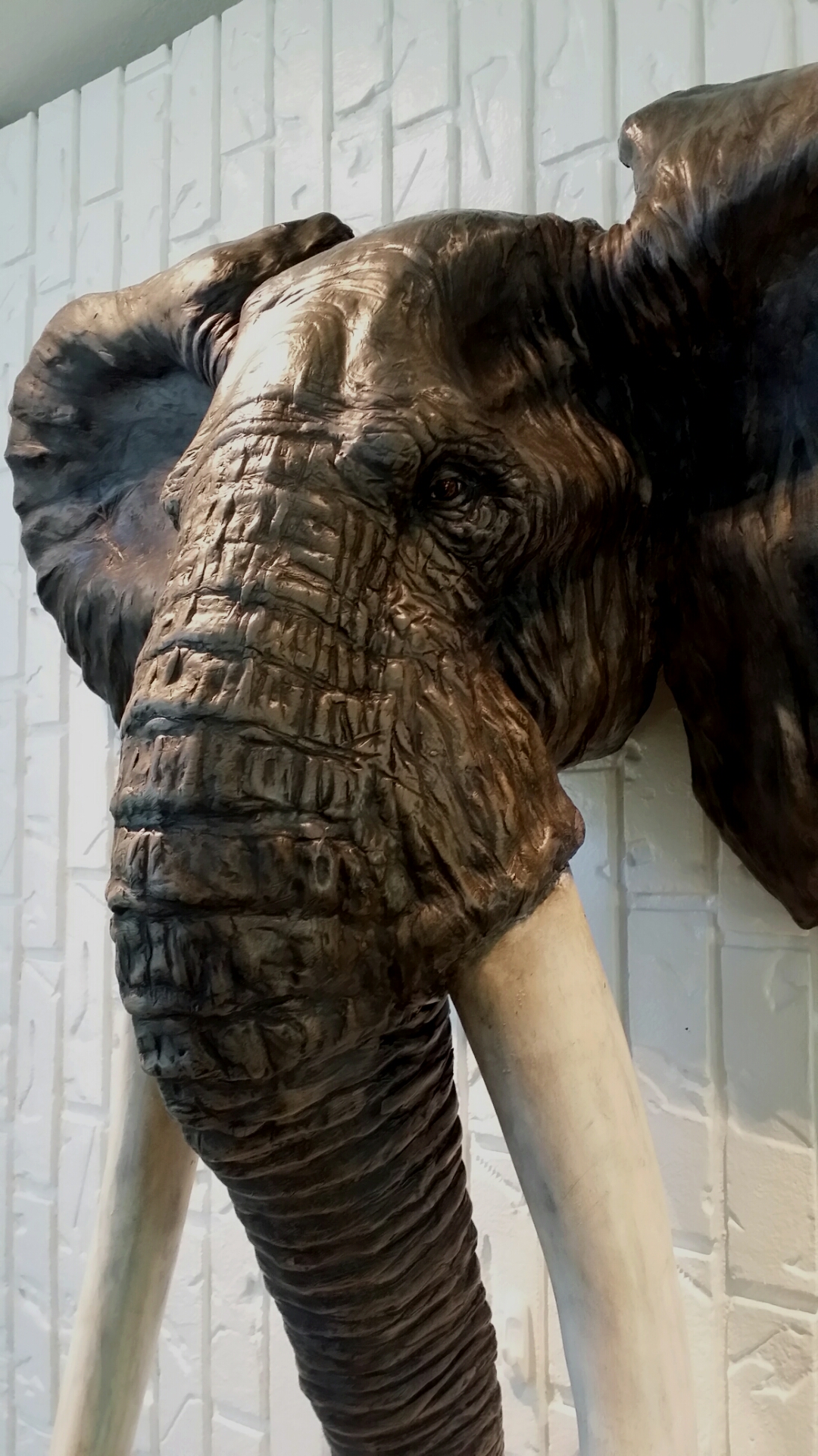 African Elephant (Copy)