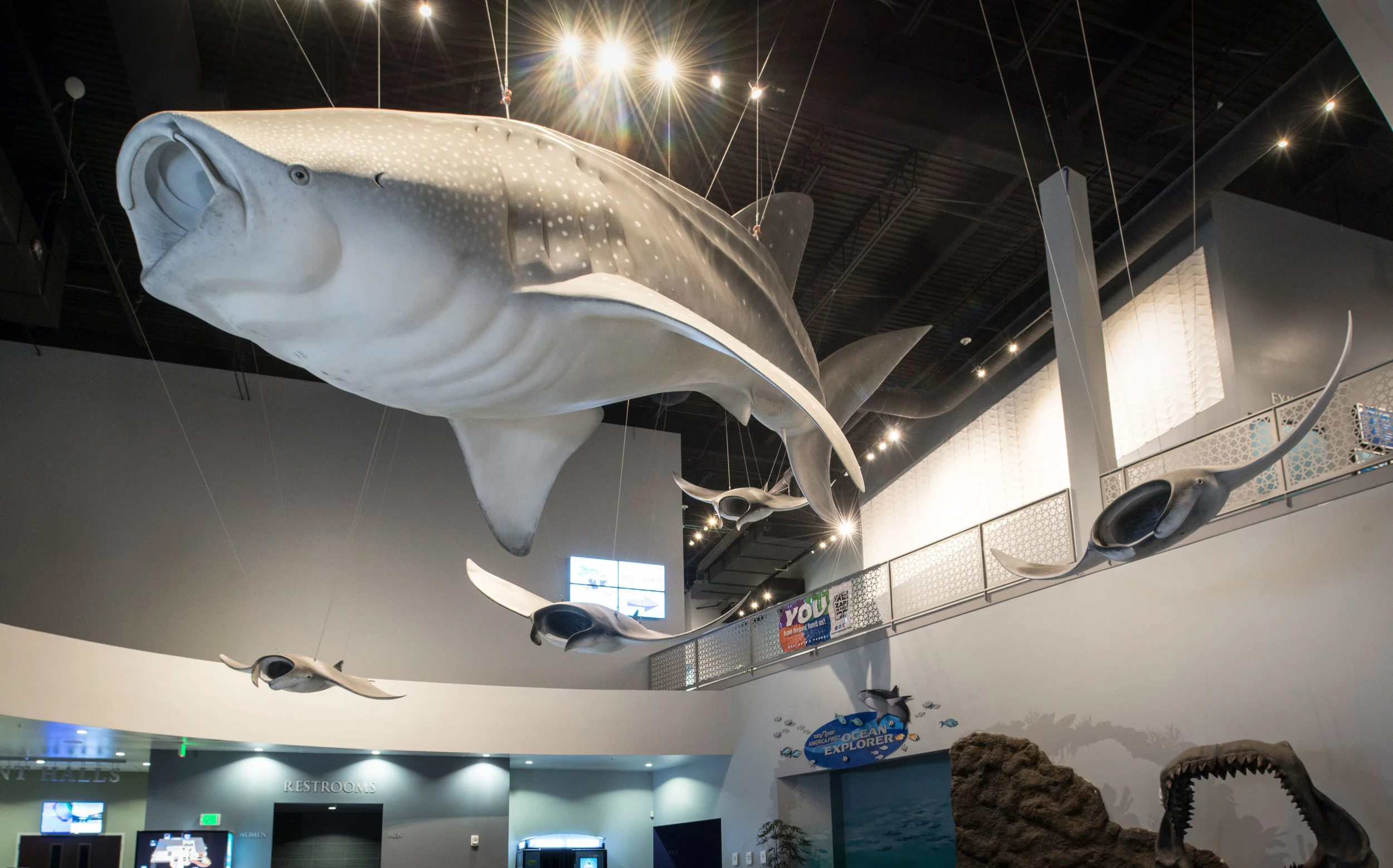 Whale Shark Sculpture, The Living Planet Aquarium