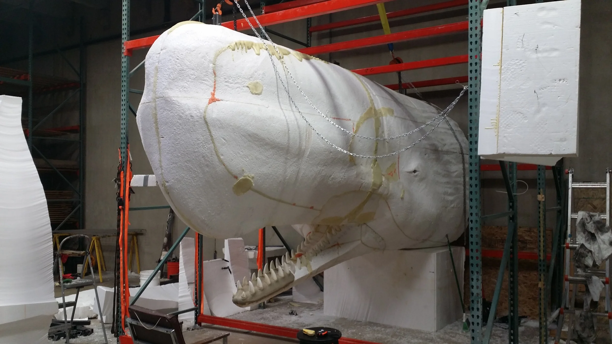 Sperm Whale Carved, coating started (Copy)