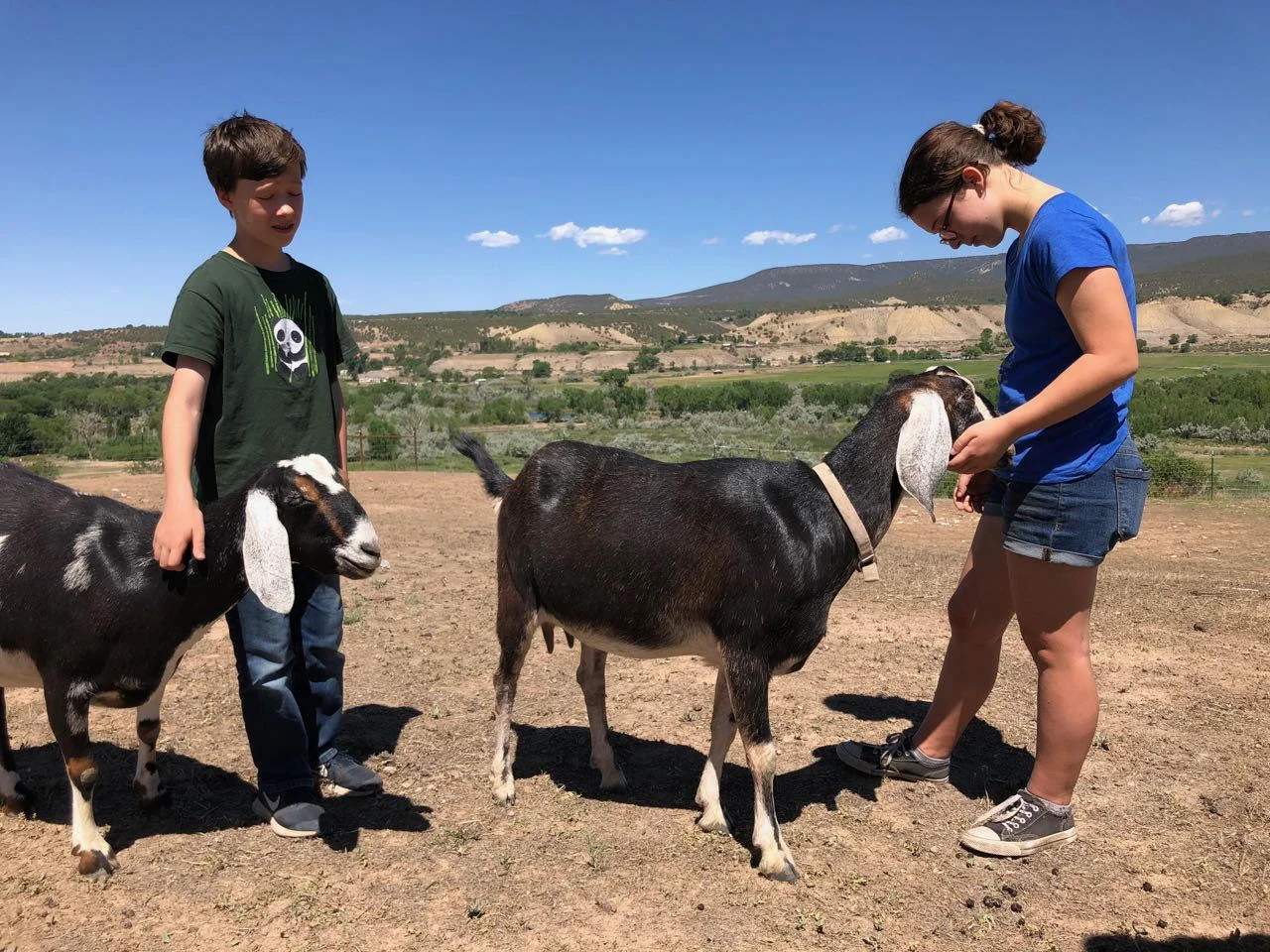 My city kids loving the country - at Jen’s.