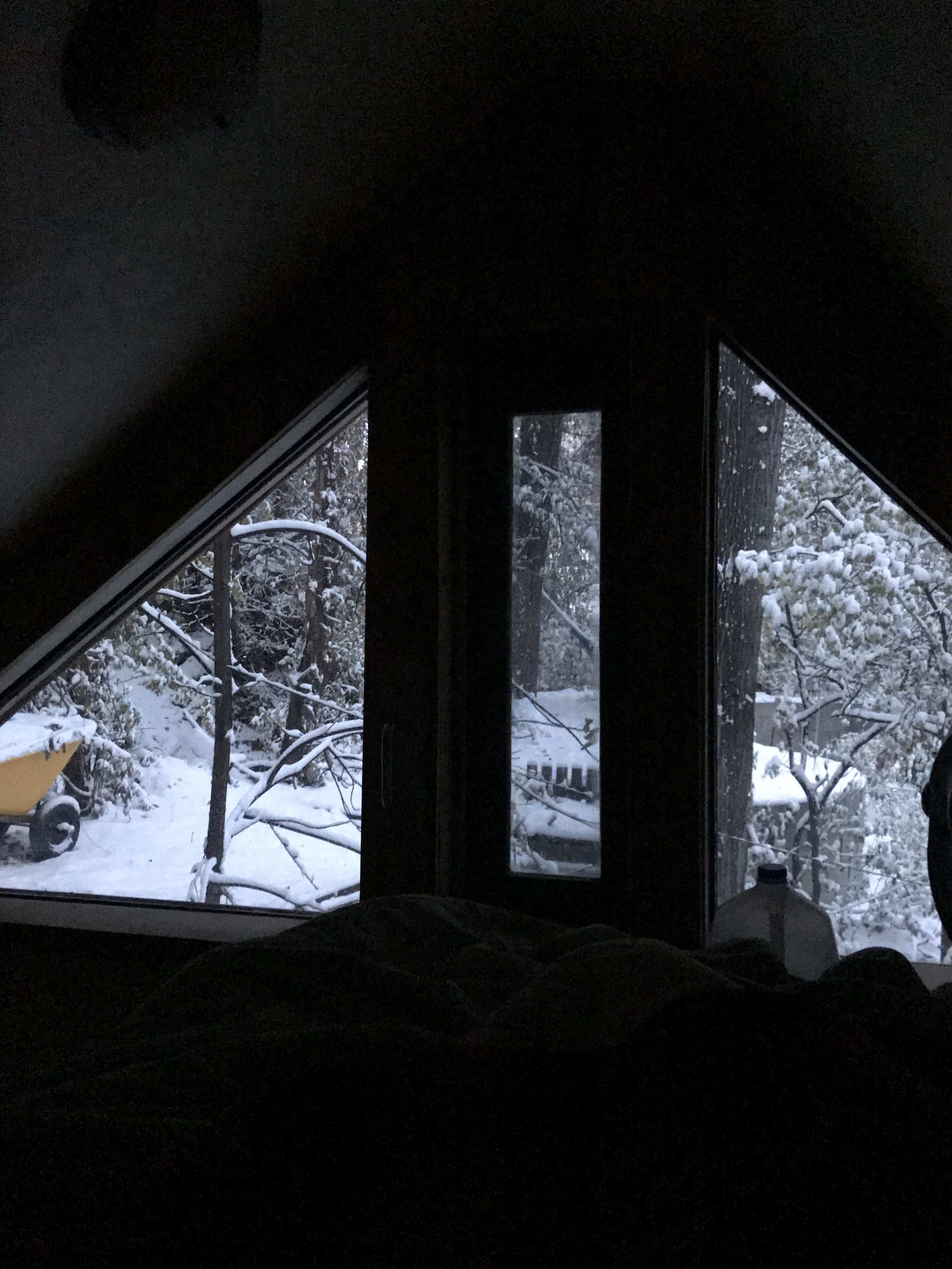 IMG_1677.jpeg